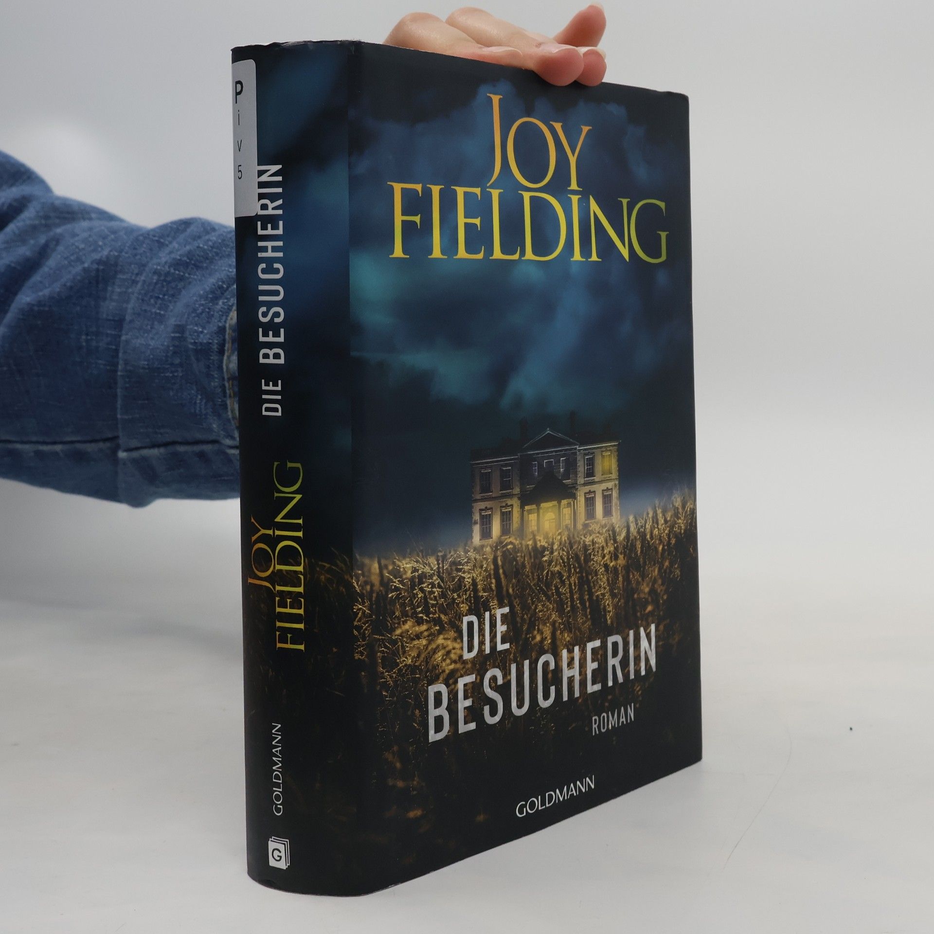 Joy Fielding Die Besucherin