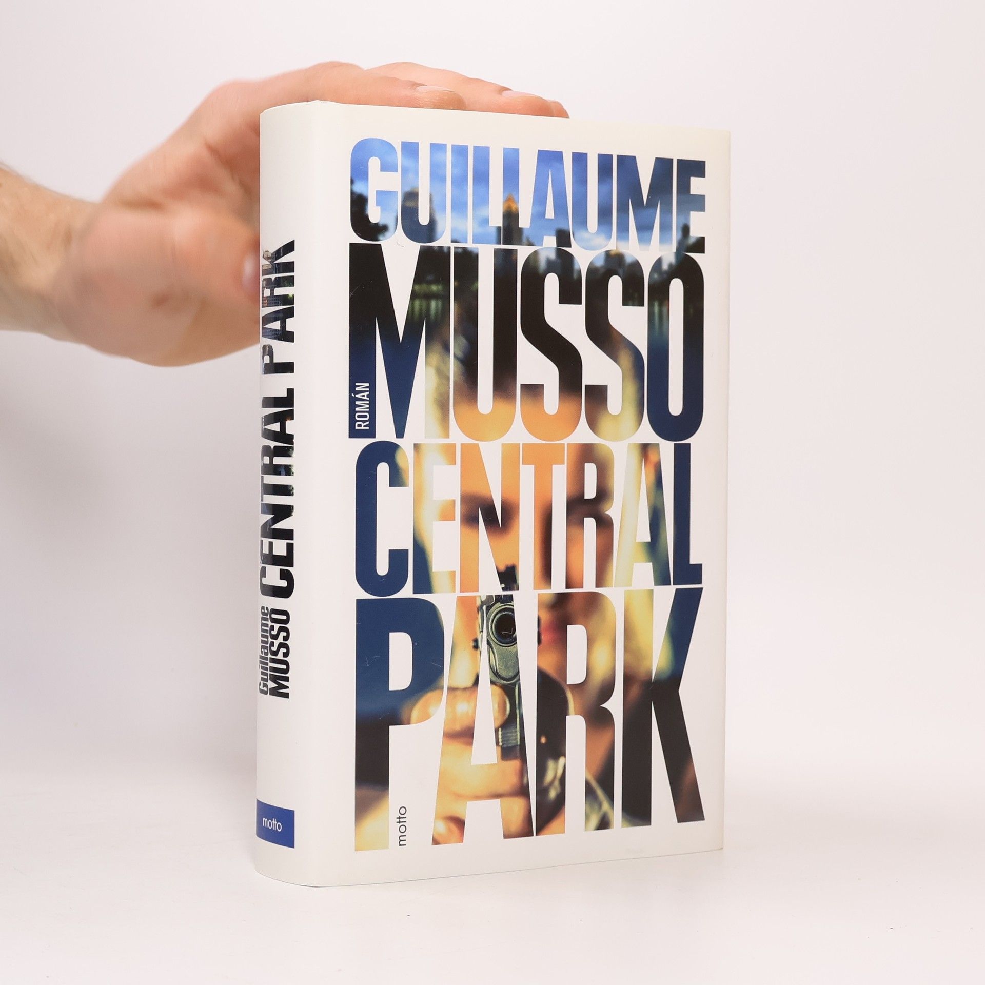 Guillaume Musso Central Park