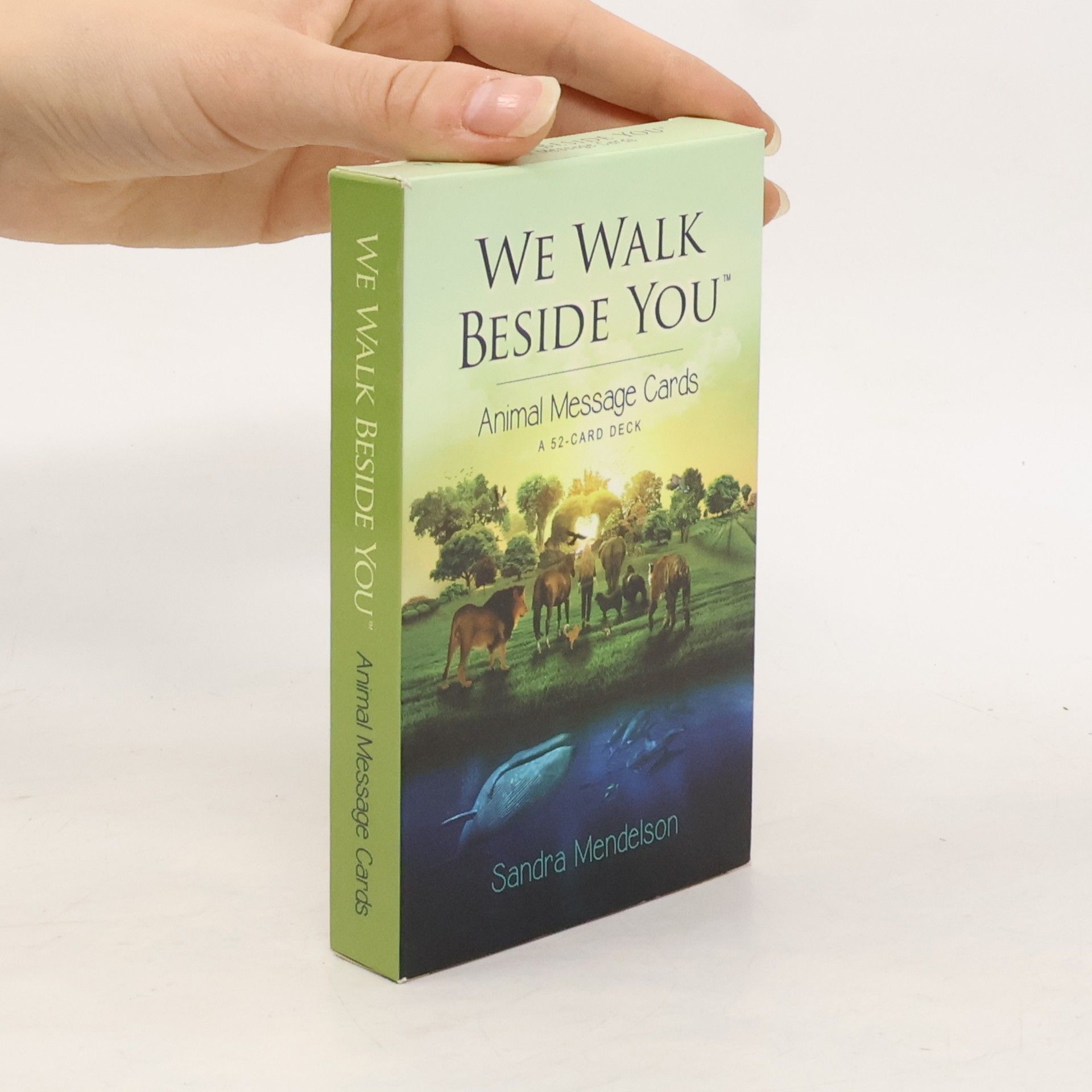 Sandra Mendelson We Walk Beside You