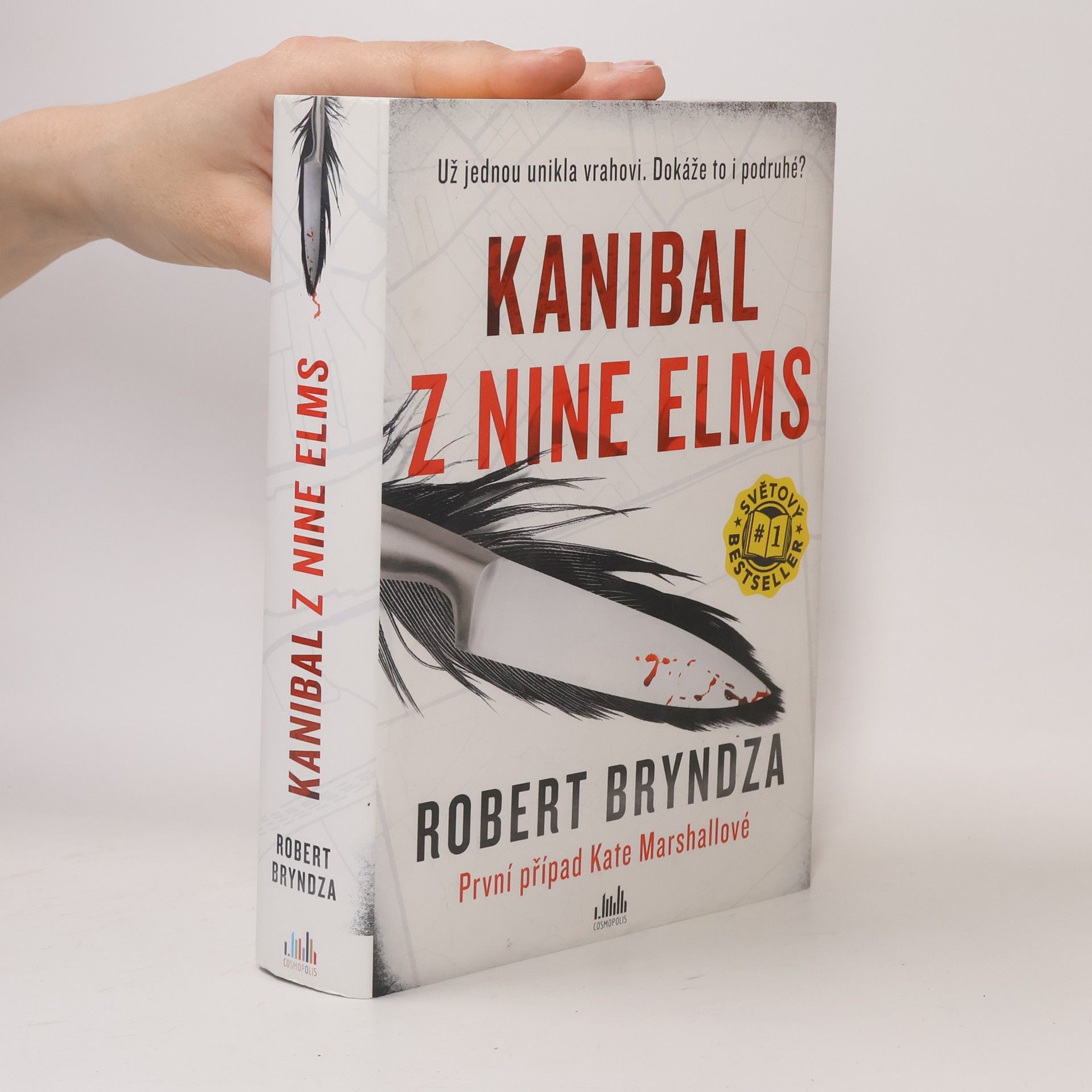 Robert Bryndza Kanibal z Nine Elms