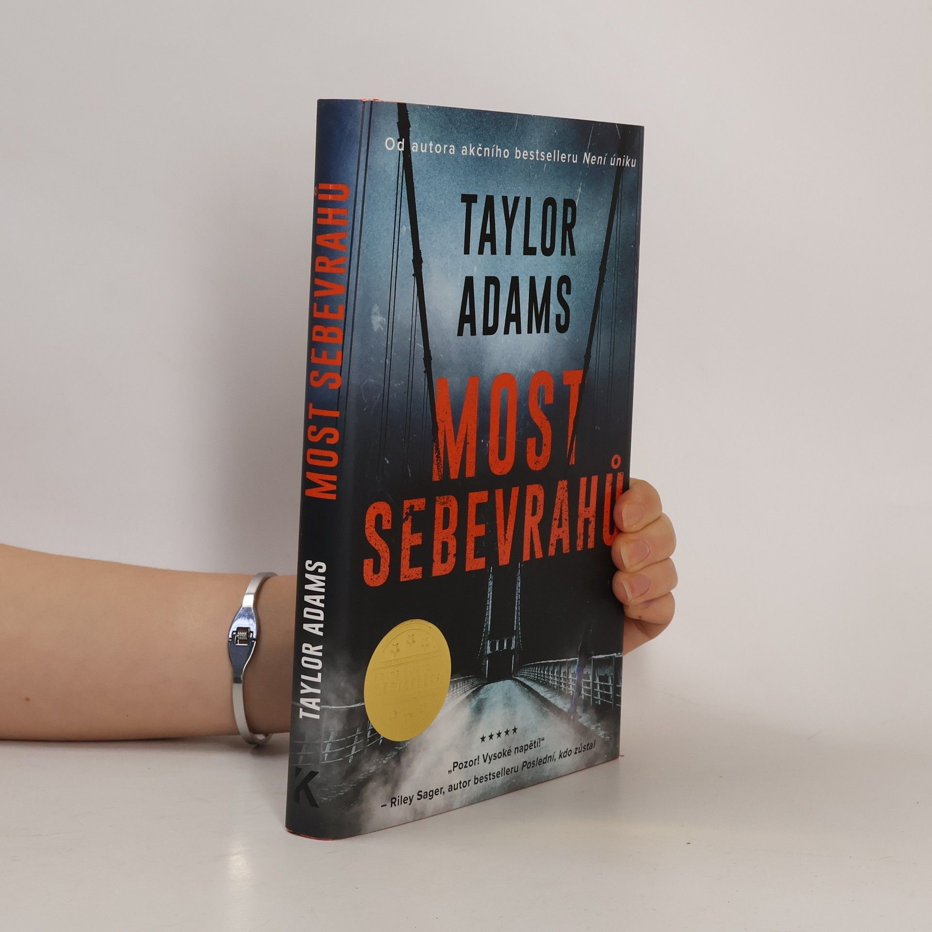 Taylor Adams Most sebevrahů