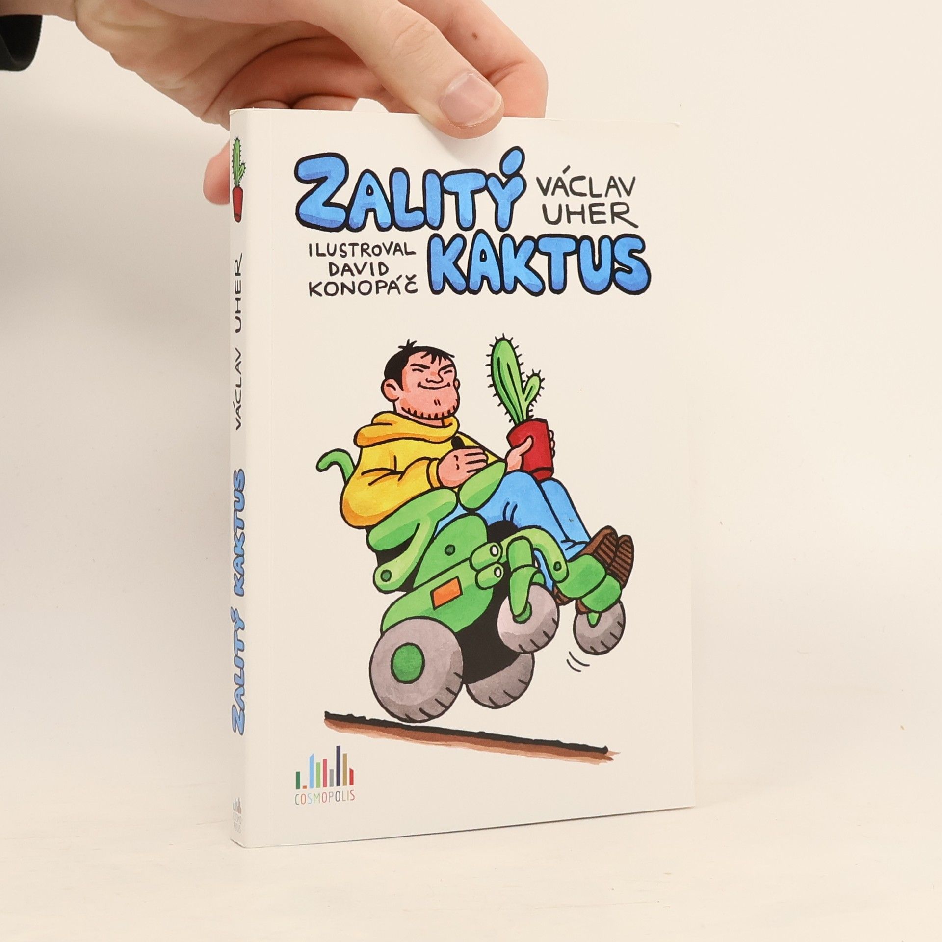 Zalitý kaktus
