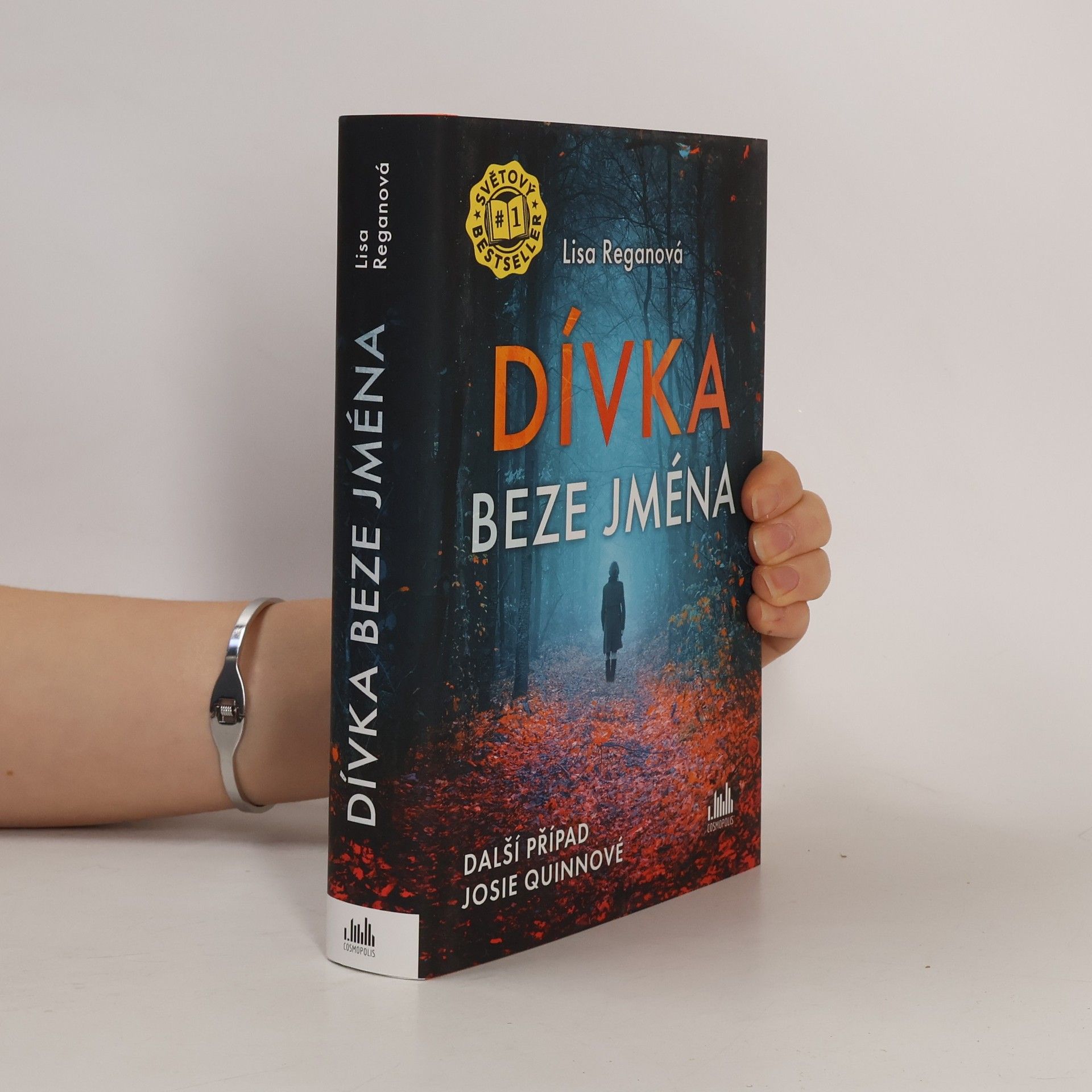 Lisa Regan Dívka beze jména: Další případ Josie Quinnové