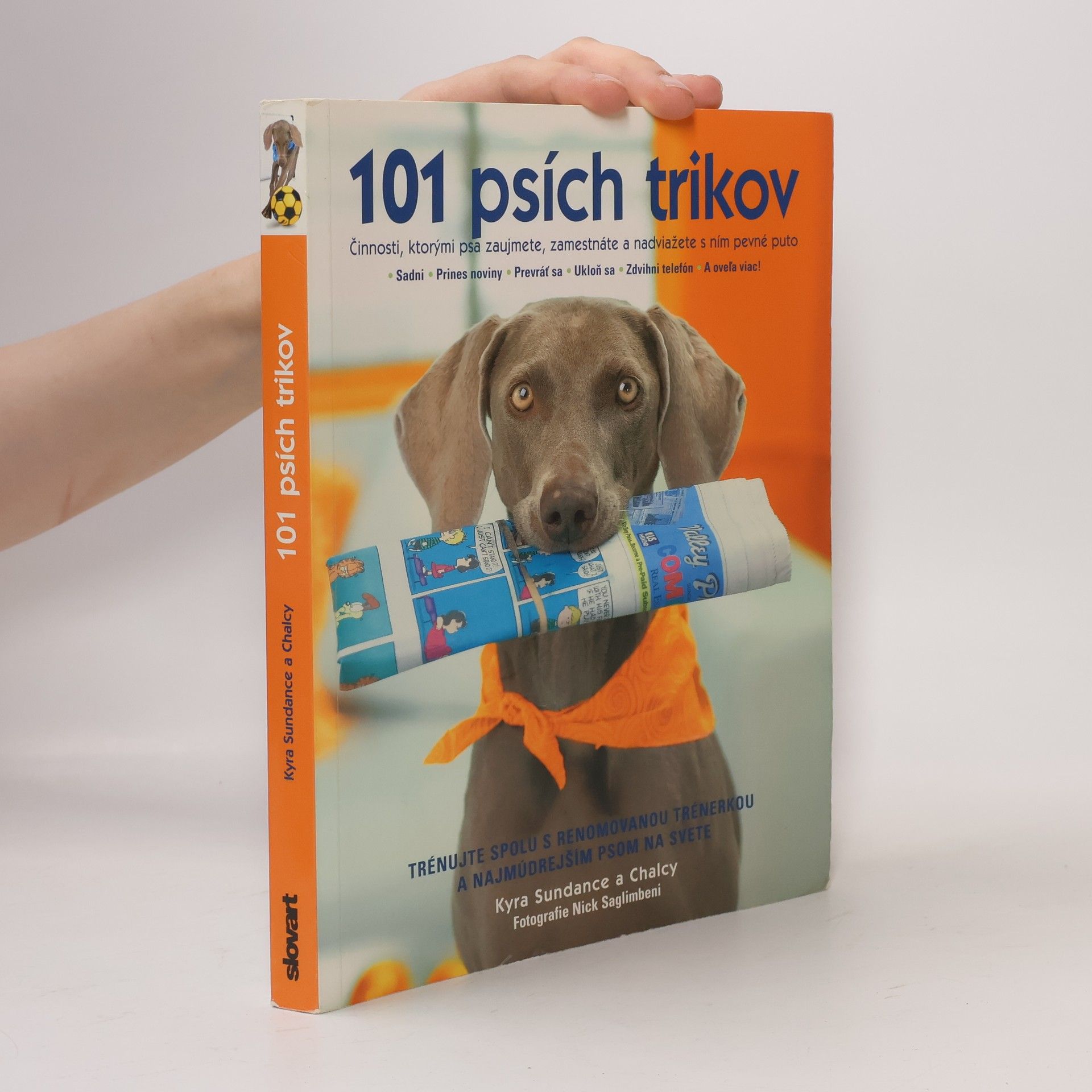 Kyra Sundance 101 psích trikov