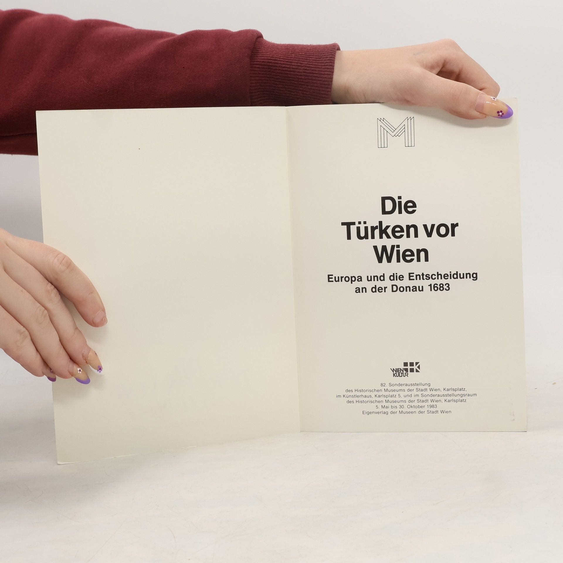 Collectif d'auteurs Die Türken vor Wien