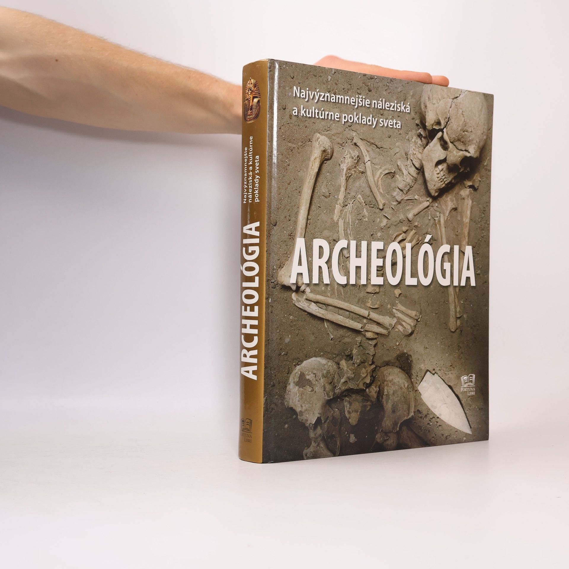Aedeen Cremin Archeológia - Najvýznamnejšie náleziská a kultúrne poklady sveta