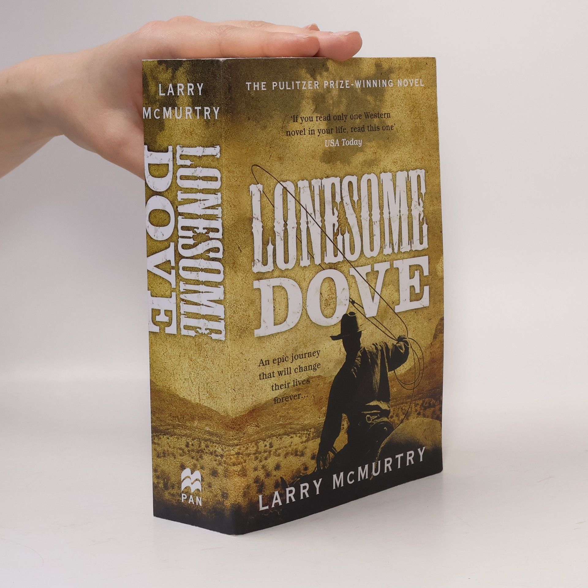 Larry McMurtry Lonesome dove