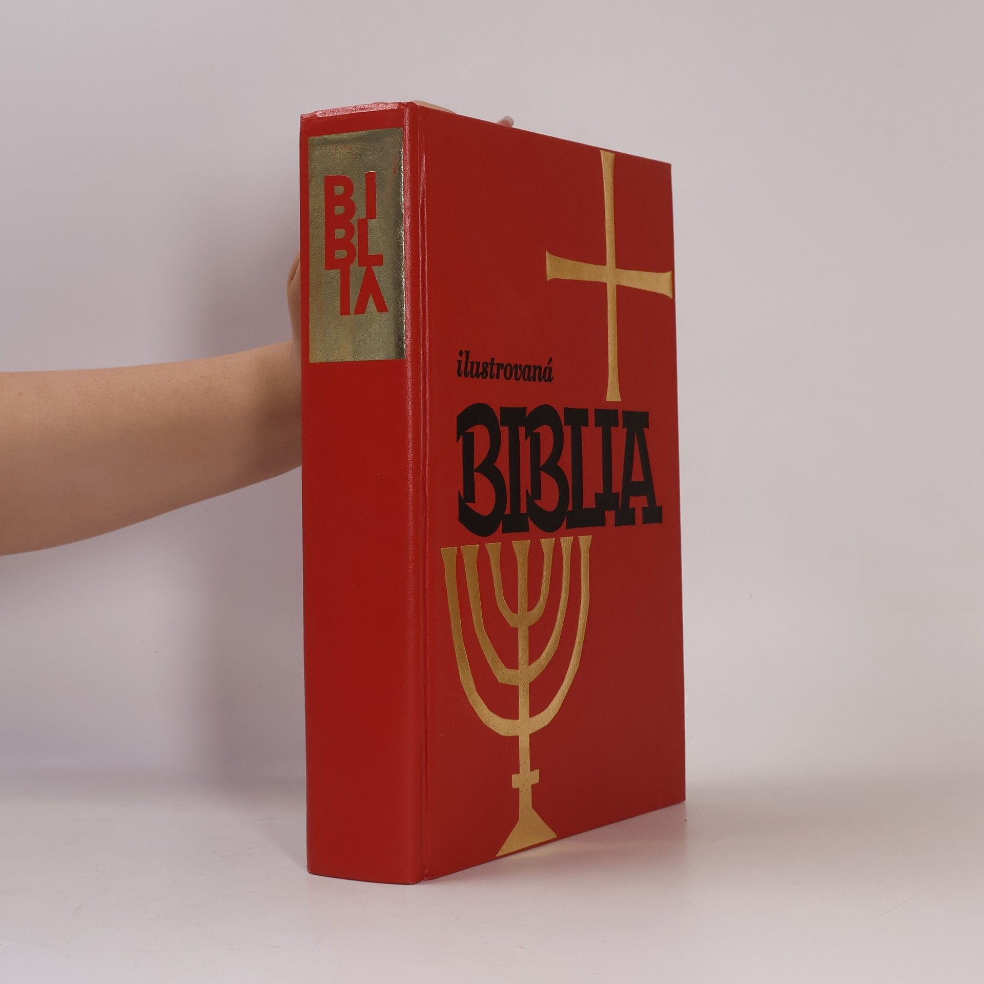 Autorenkollektiv Ilustrovaná Biblia