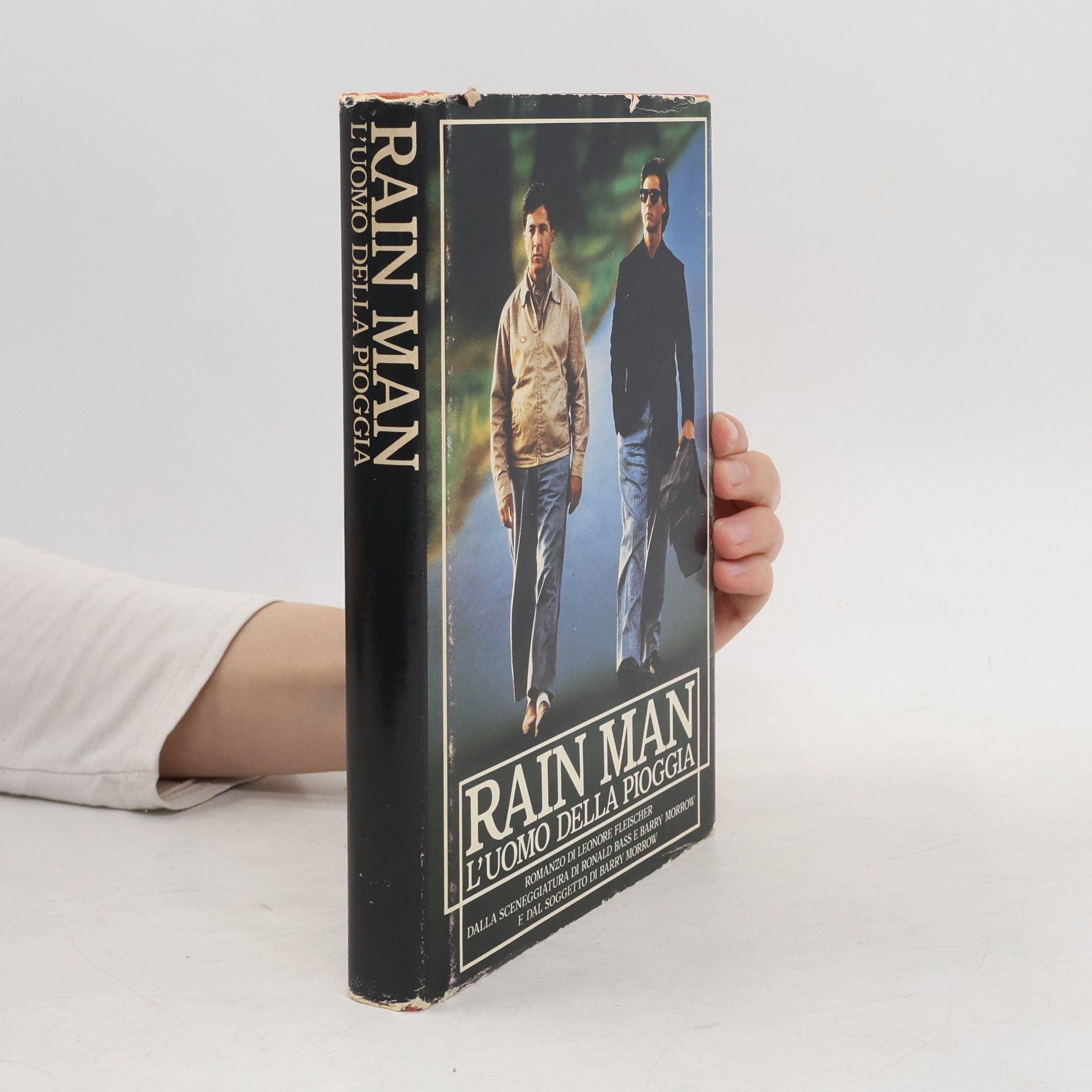 Kolektiv autorů Rain Man