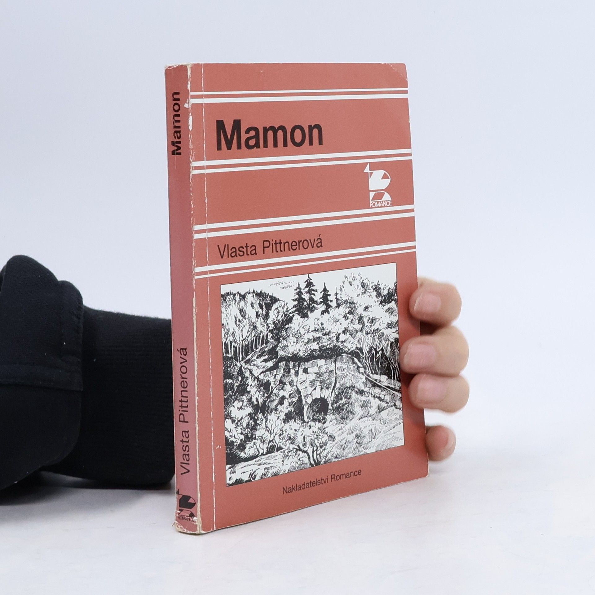 Mamon : povídky o srdci kamenném