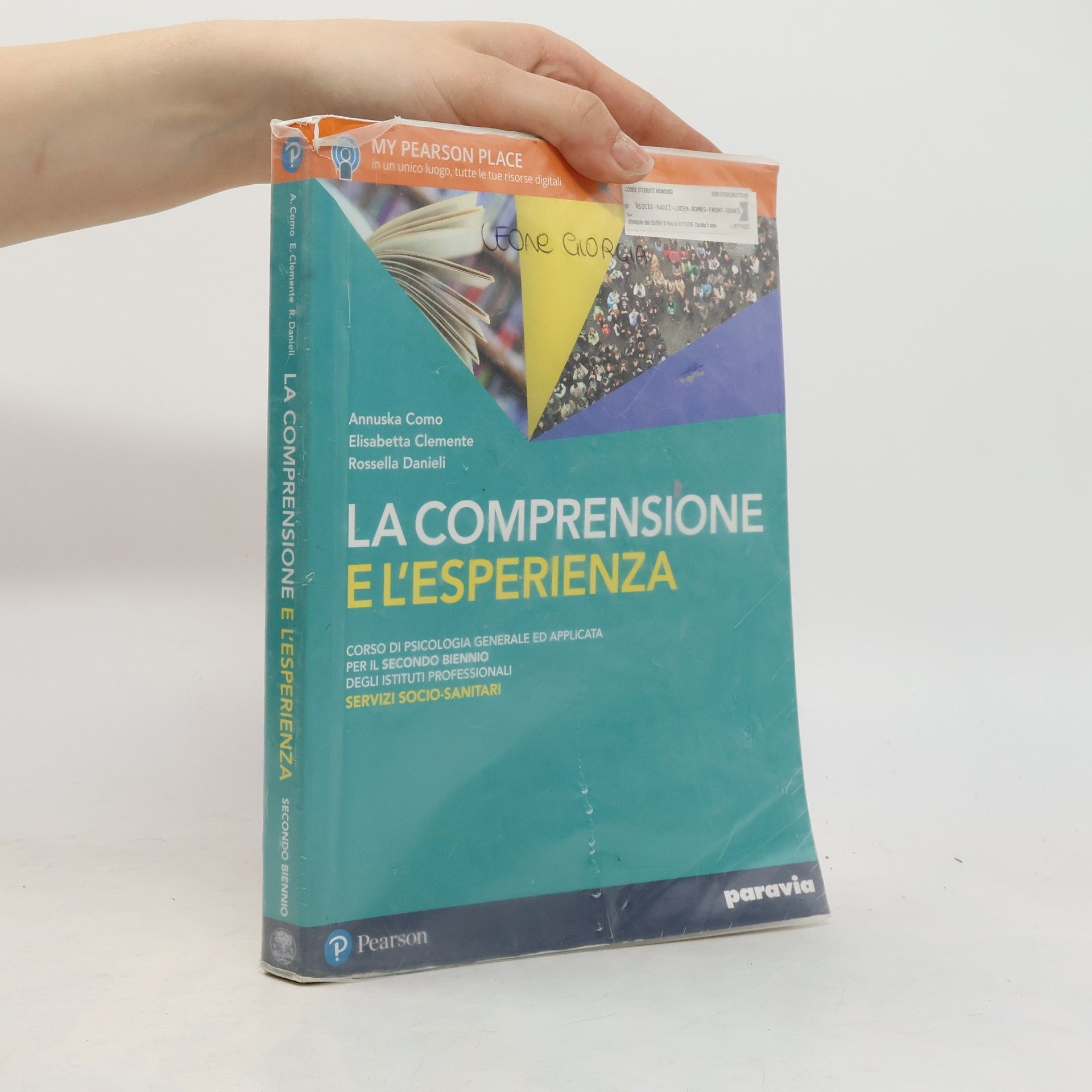 Rosella Danieli La comprensione e l'esperienza