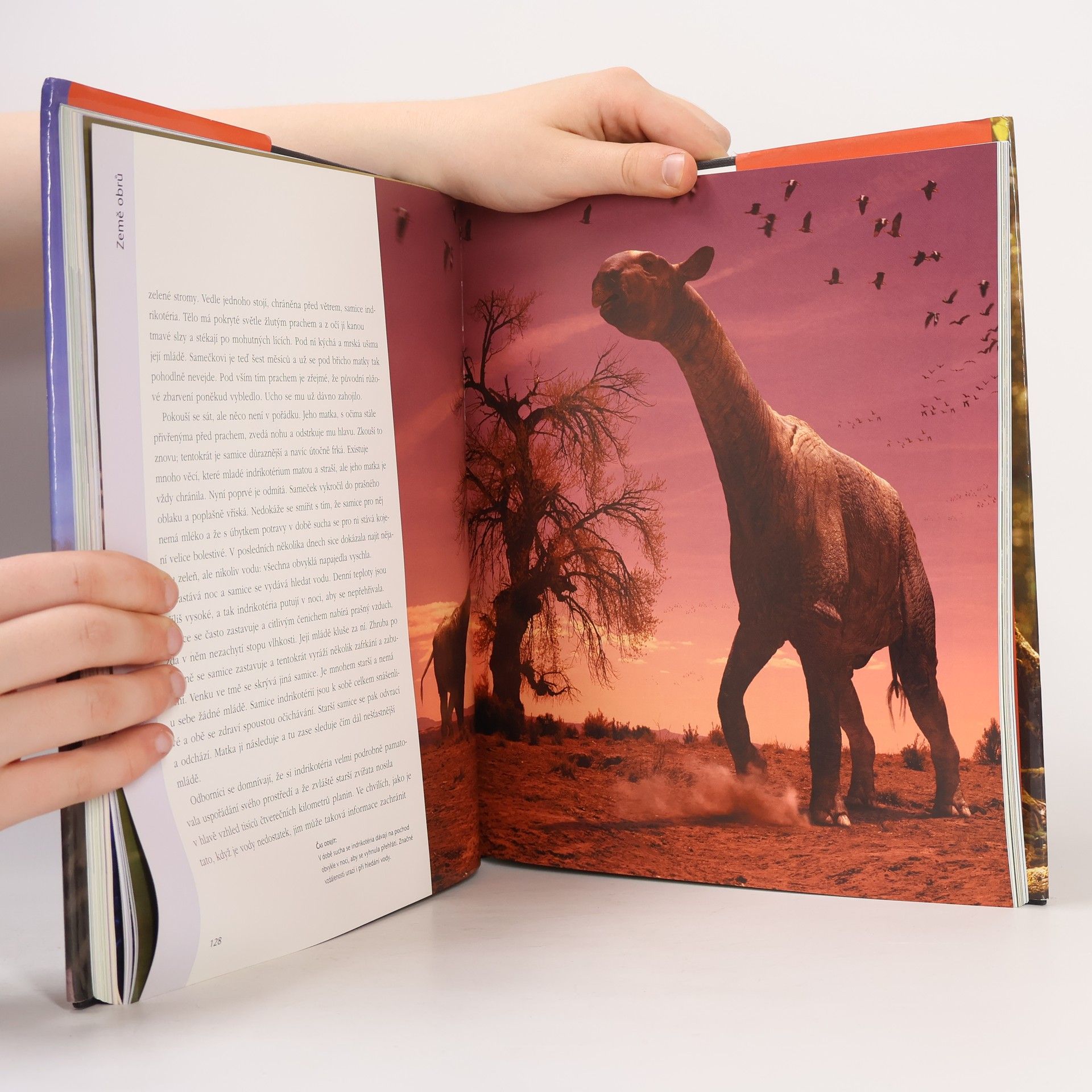 Tim Haines Putování s pravěkými zvířaty. Prehistorické safari