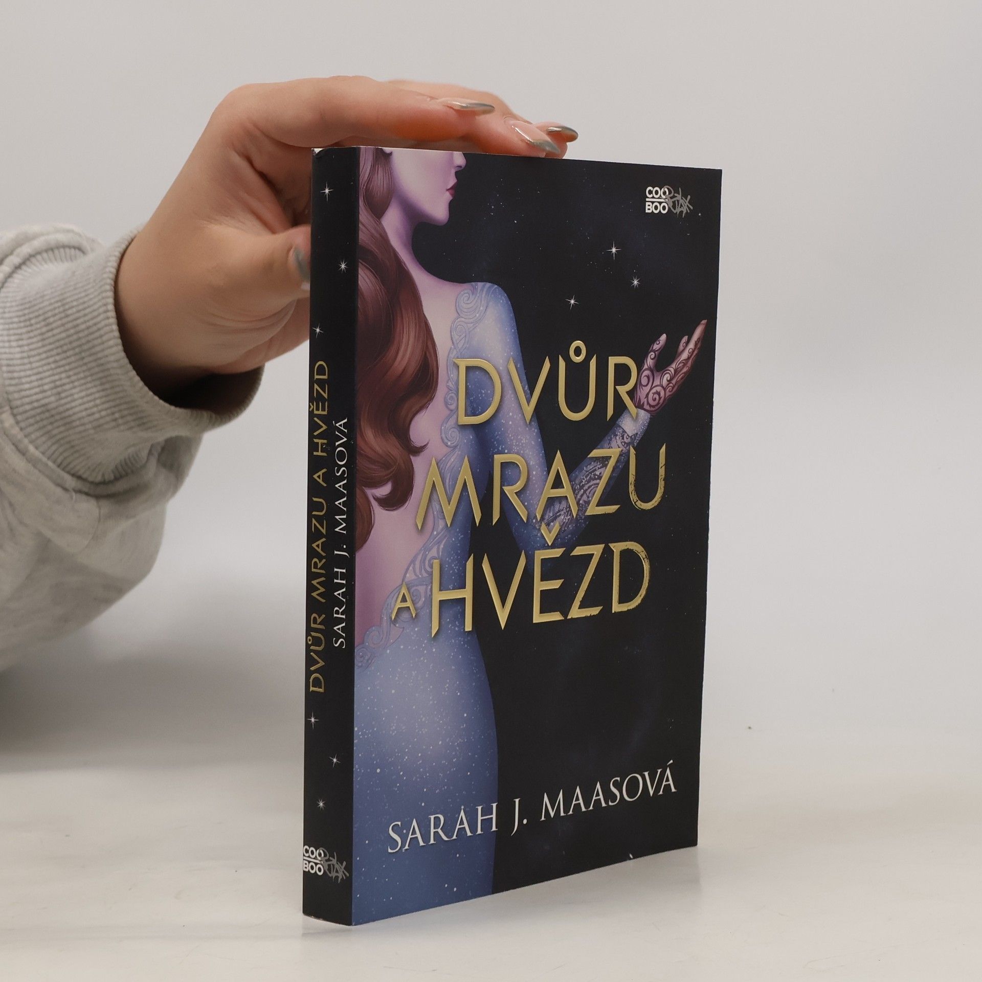 Sarah J. Maas Dvůr mrazu a hvězd