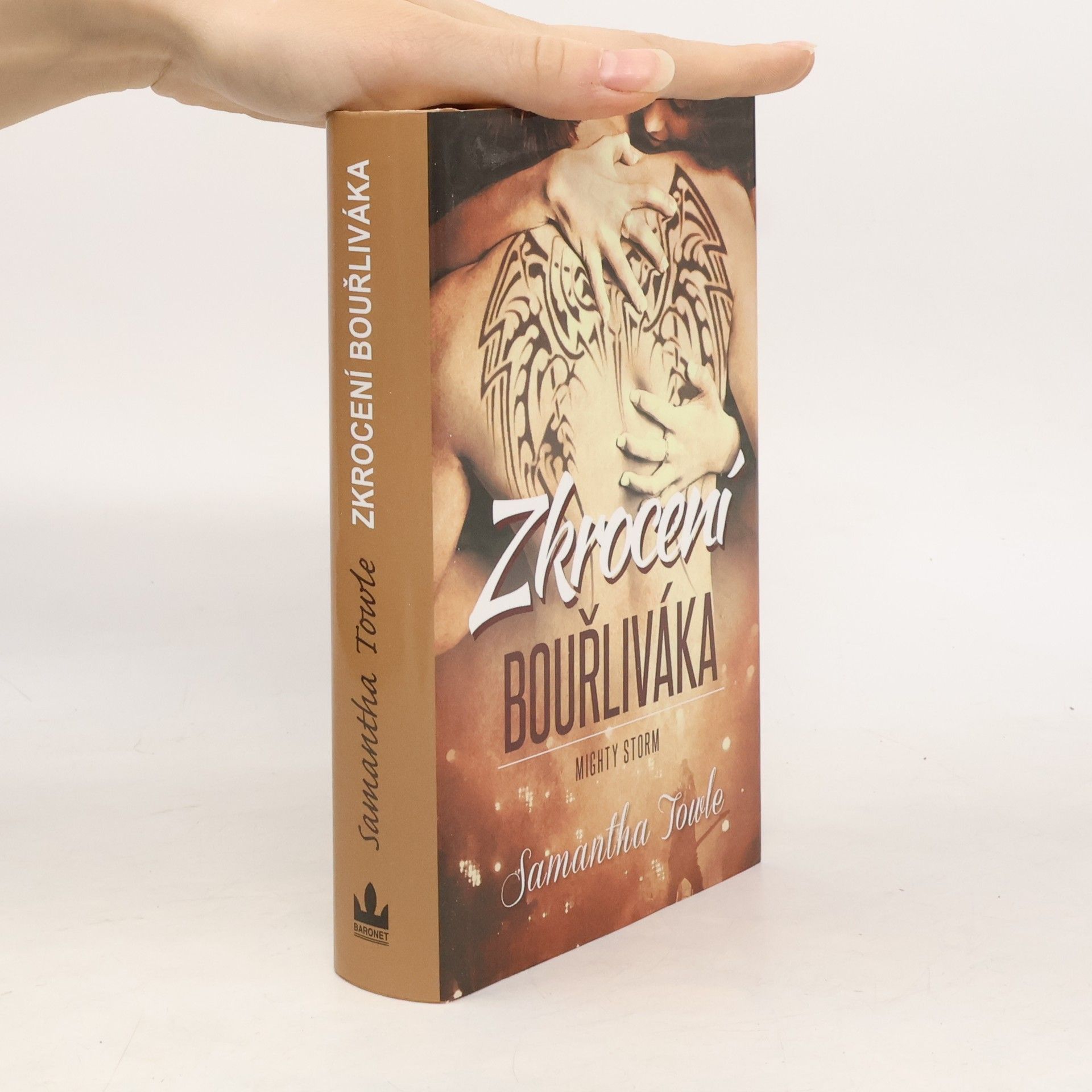 Samantha Towle Zkrocení bouřliváka