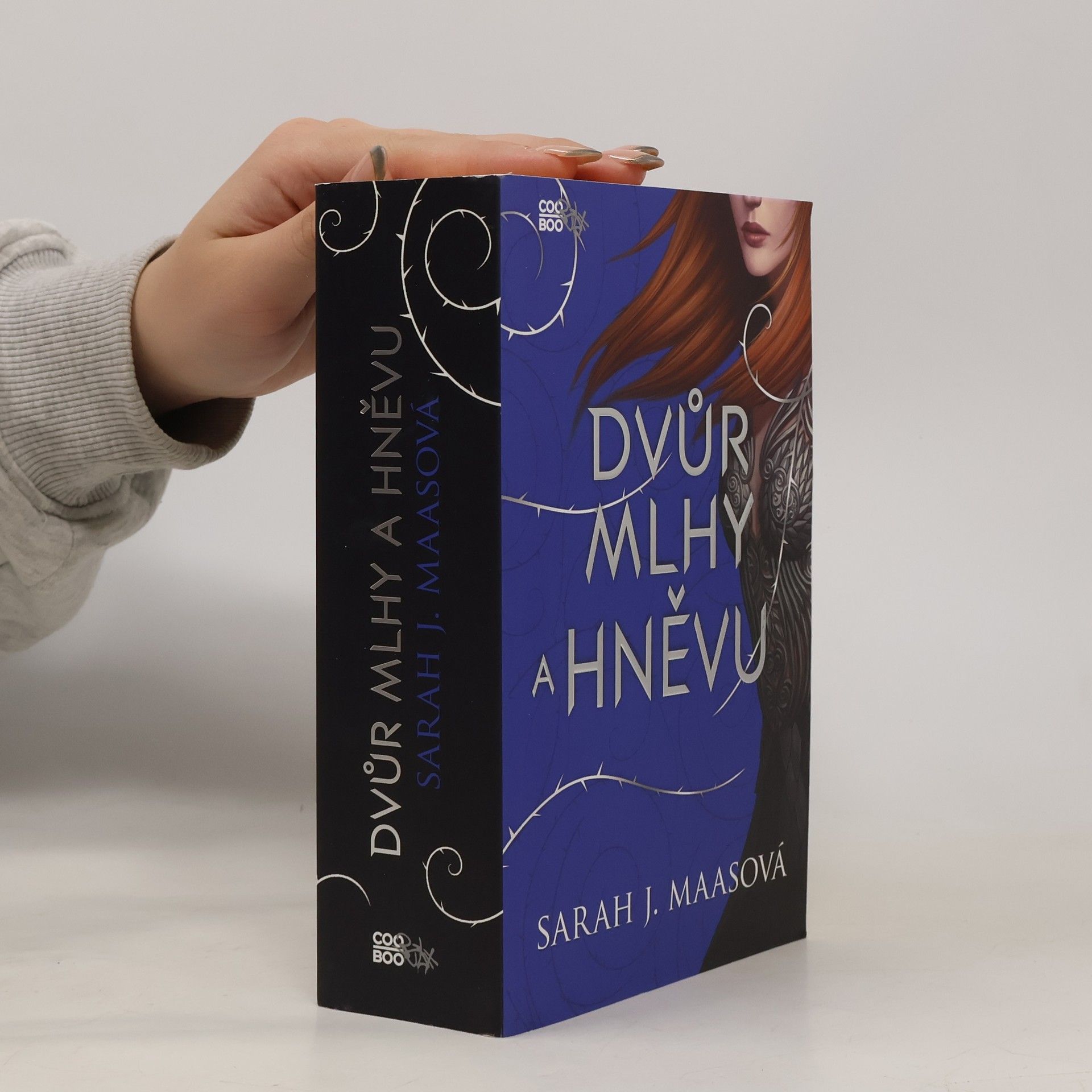 Sarah J. Maas Dvůr mlhy a hněvu