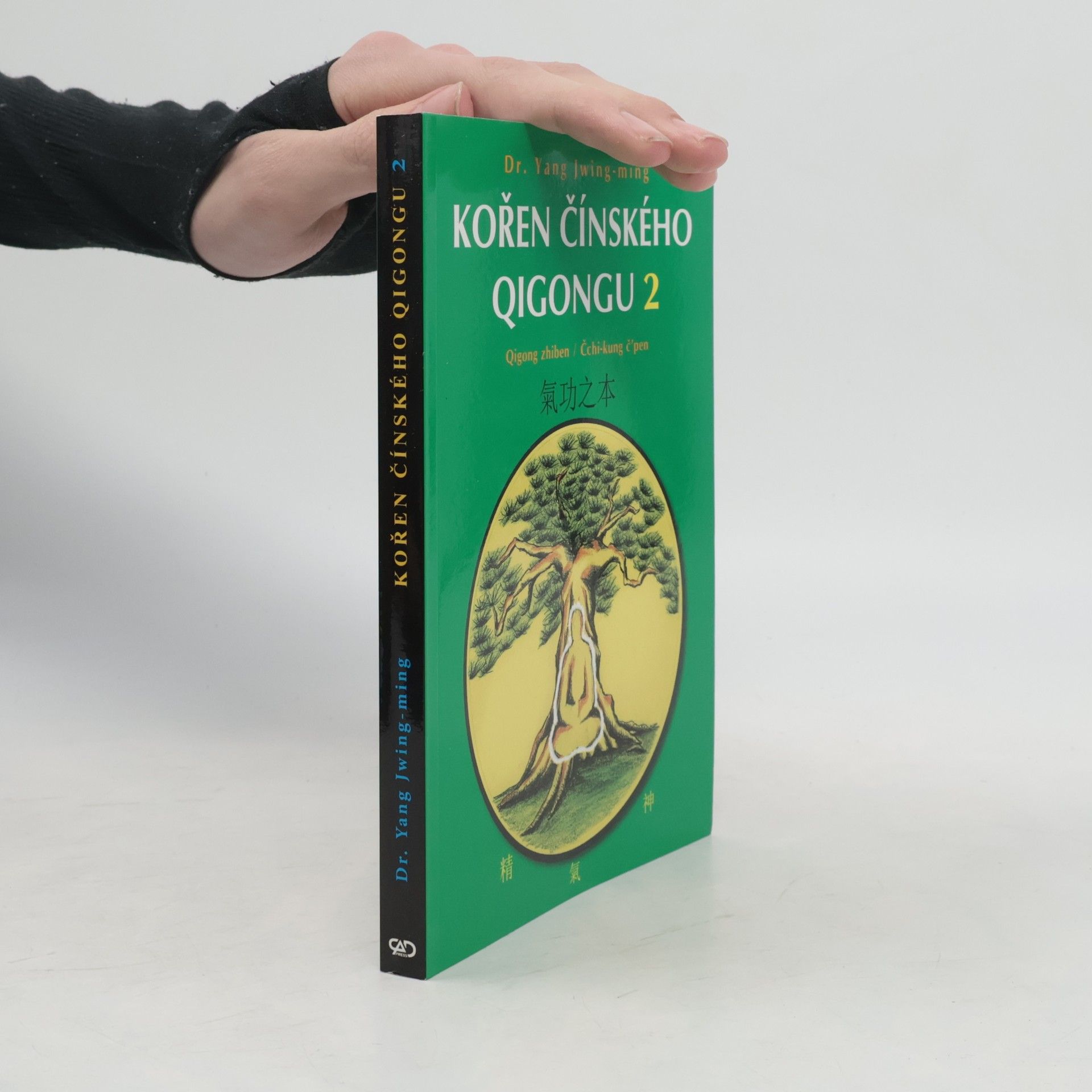 Jwing ming Yang Kořen čínského qigongu 2