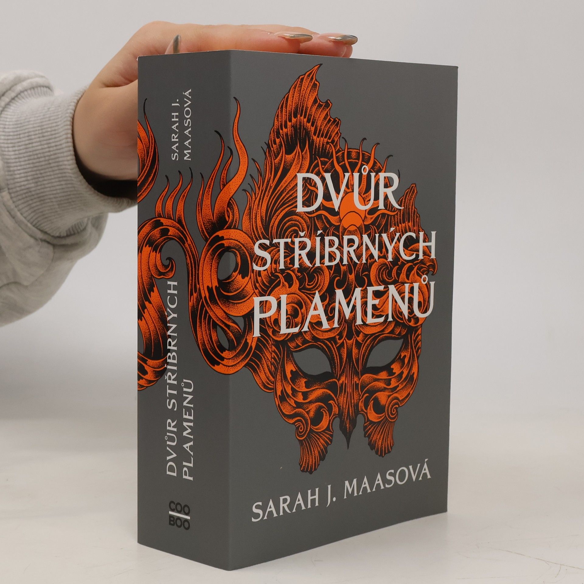 Sarah J. Maas Dvůr stříbrných plamenů