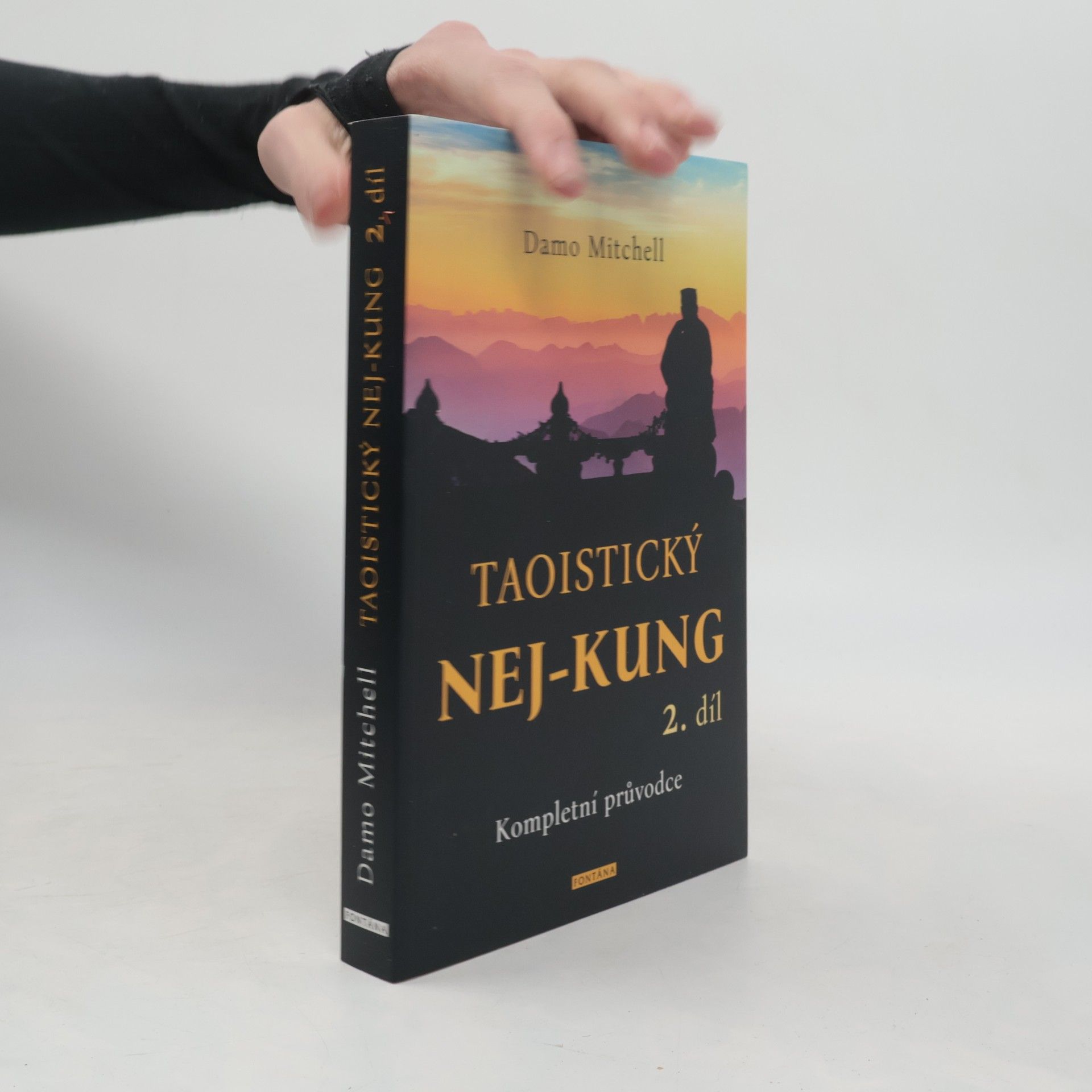 Damo Mitchell Taoistický nej-kung 2. díl