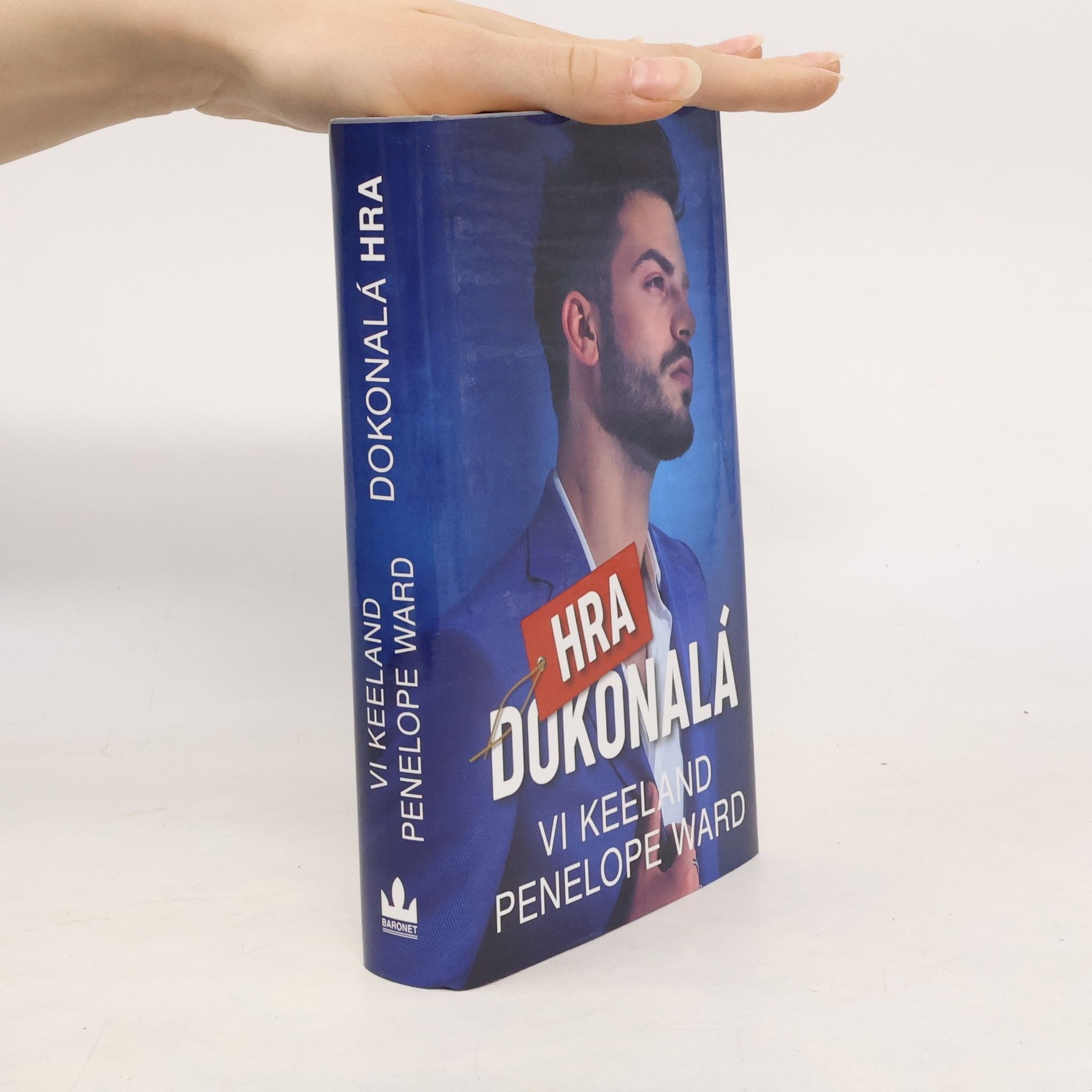 Vi Keeland Dokonalá hra