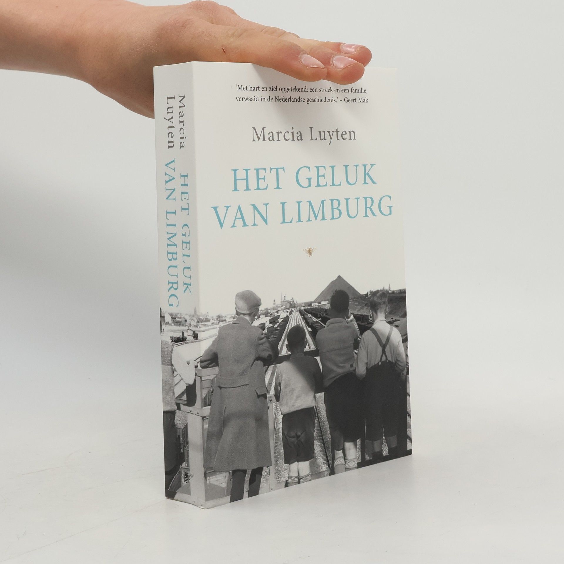 Marcia Luyten Het geluk van Limburg