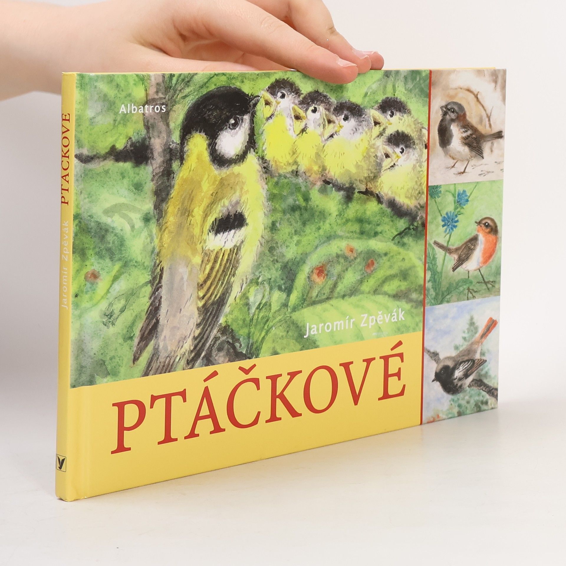 Jaromír Zpěvák Ptáčkové