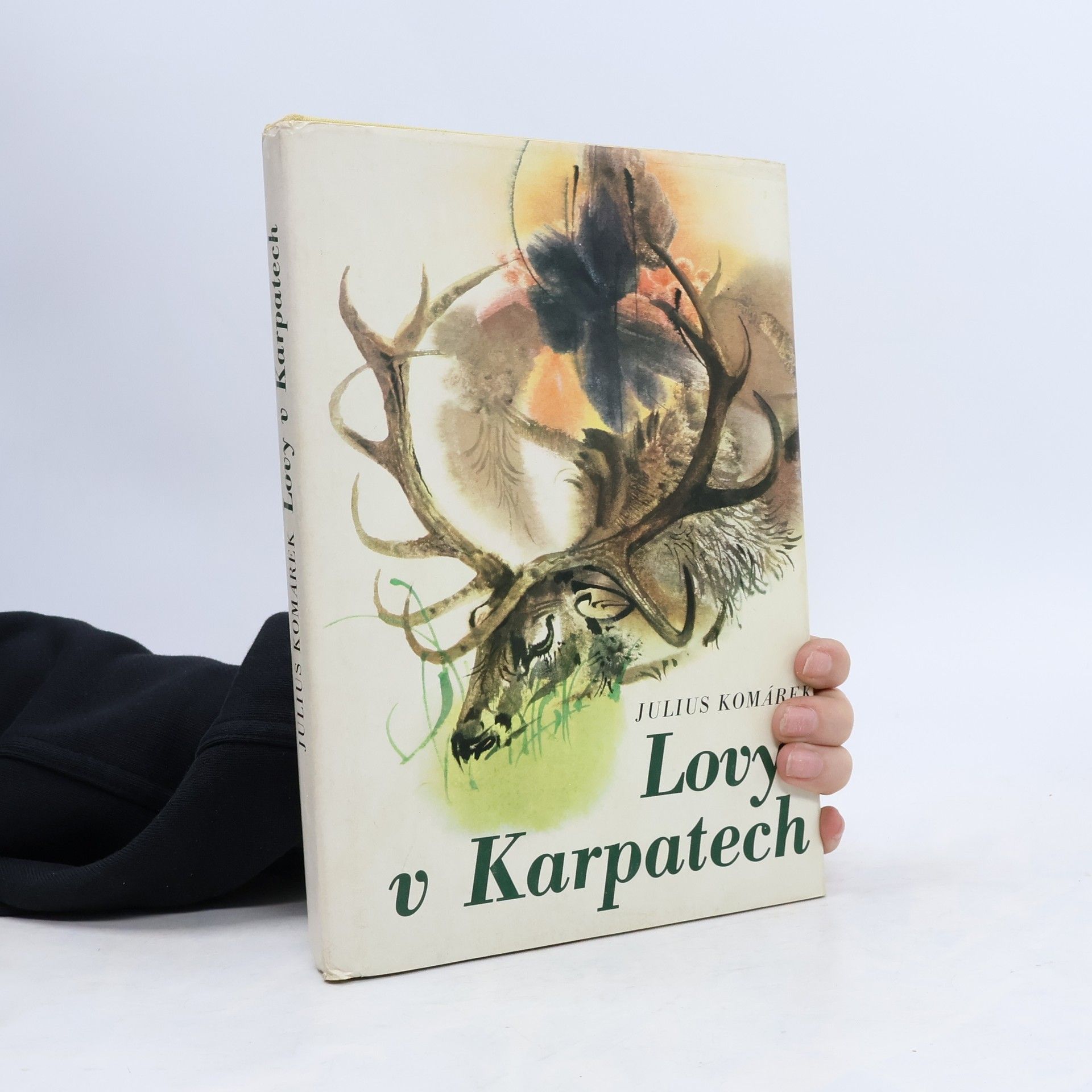 Julius Komárek Lovy v Karpatech