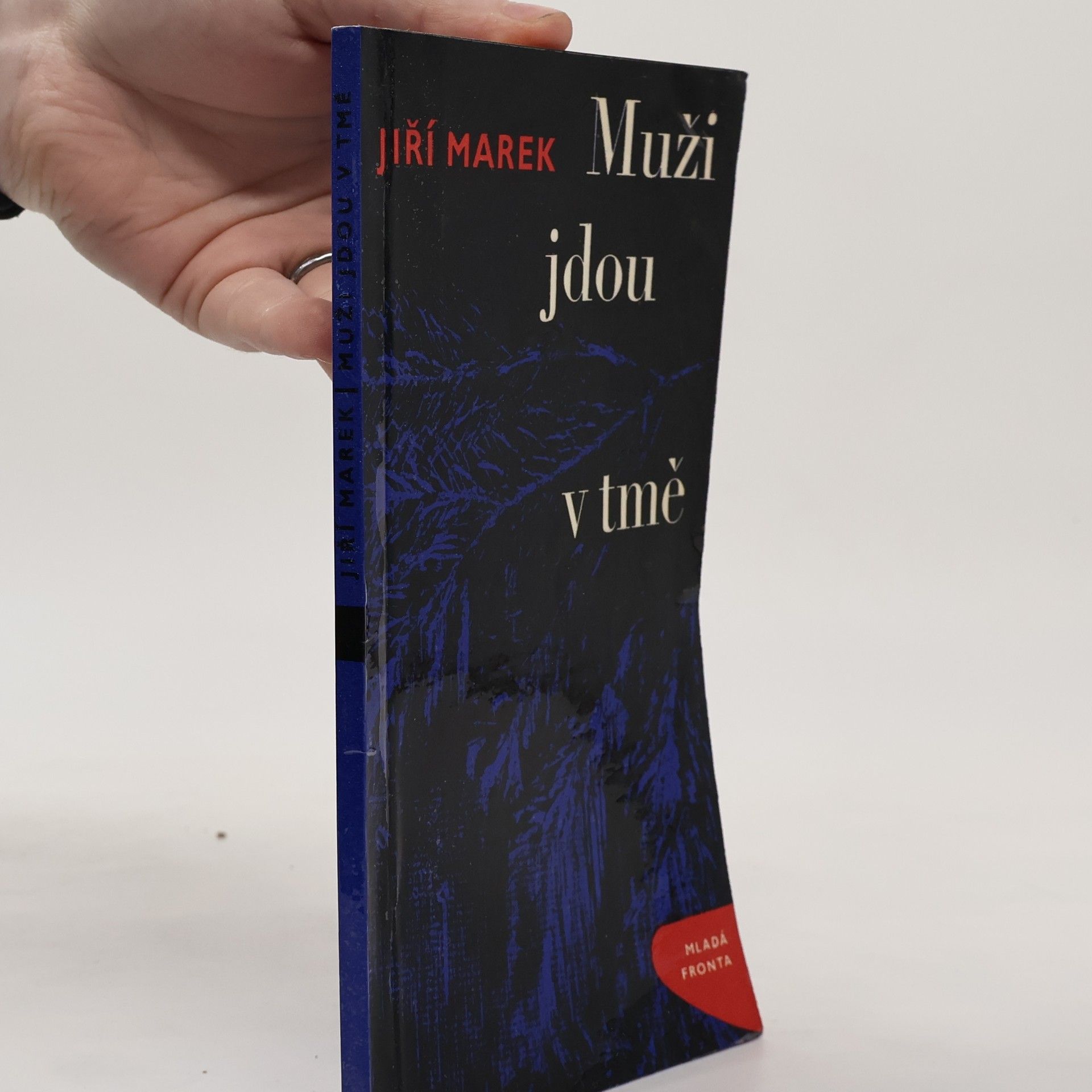 Jiří Marek Muži jdou v tmě
