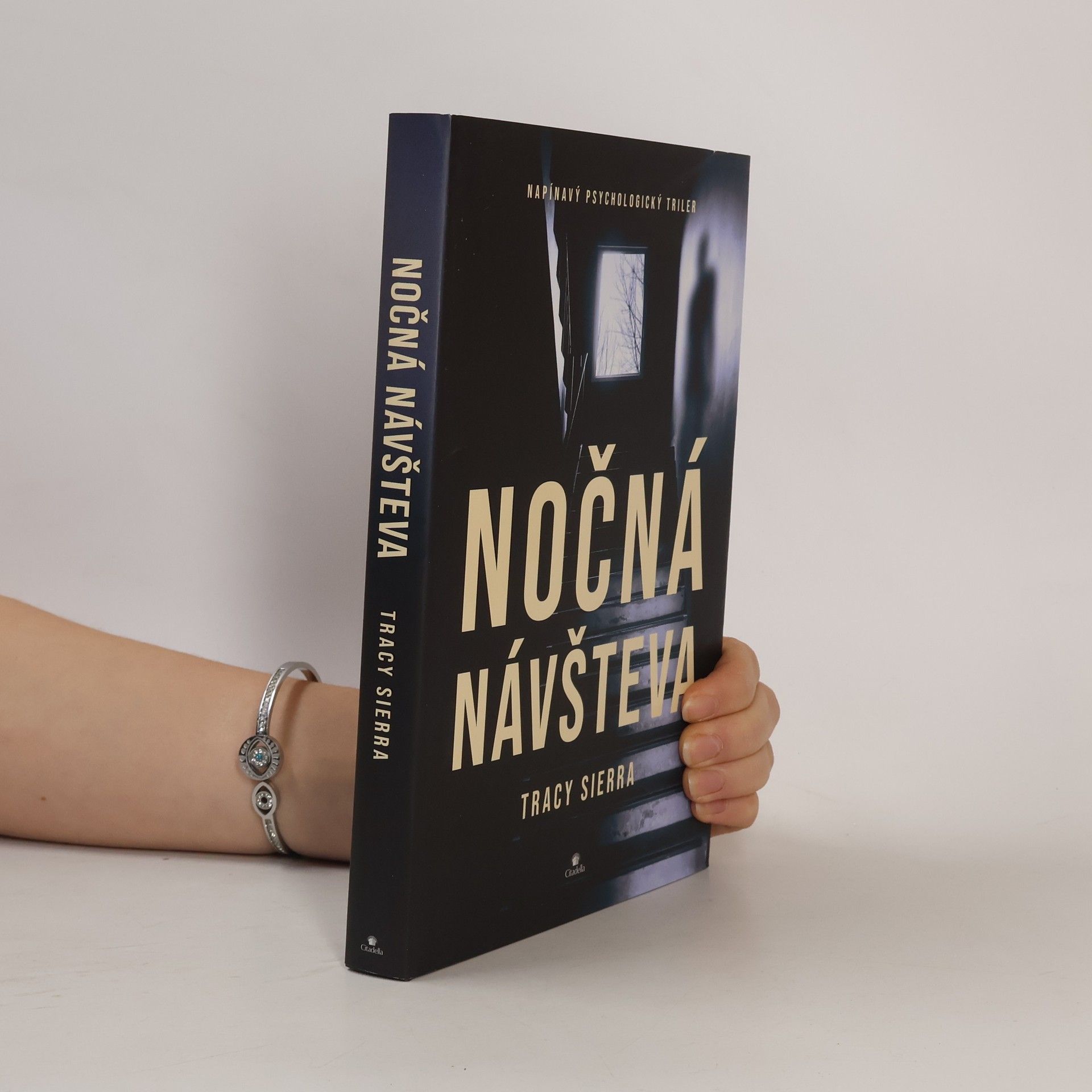 Tracy Sierra Nočná návšteva