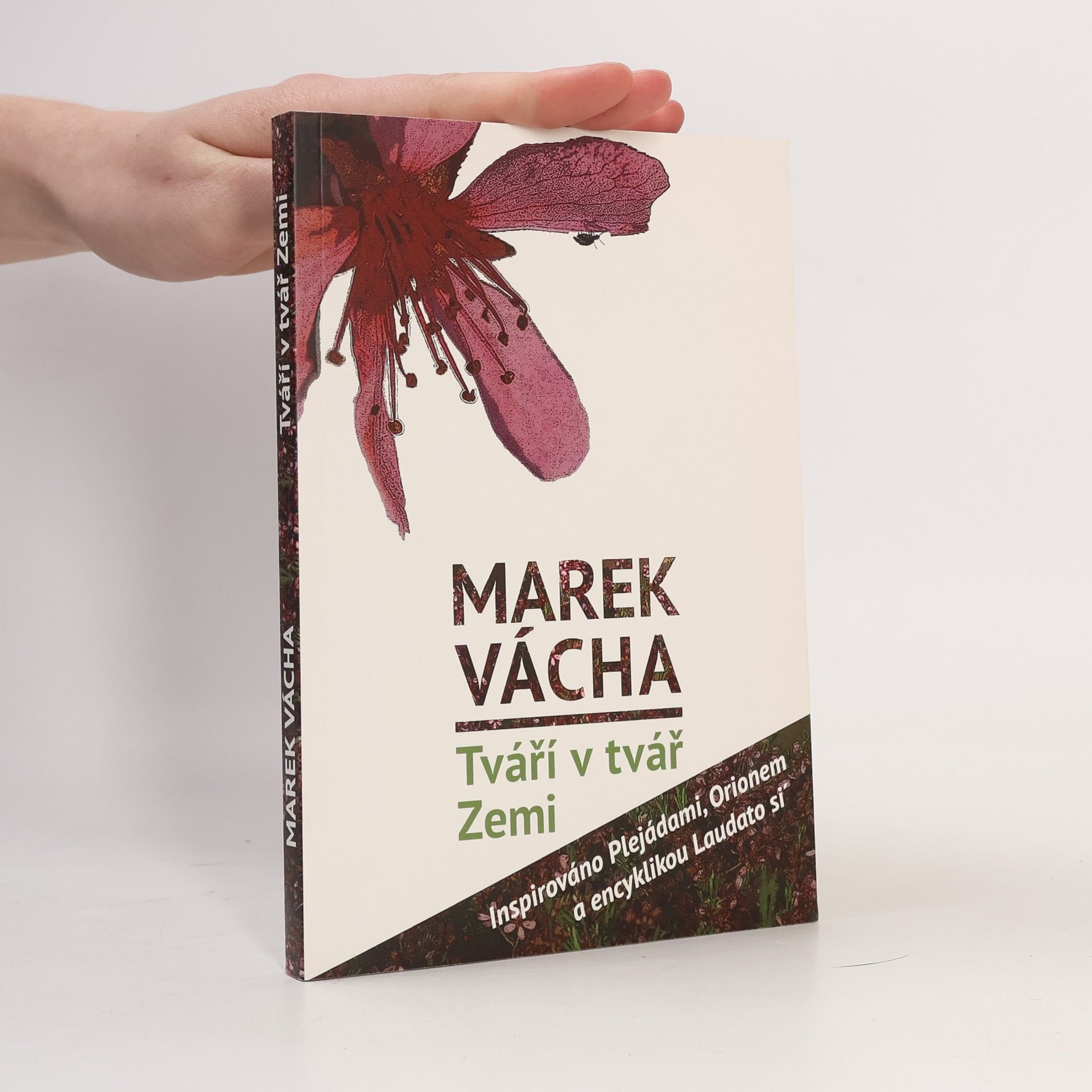 Marek Orko Vácha Tváří v tvář Zemi