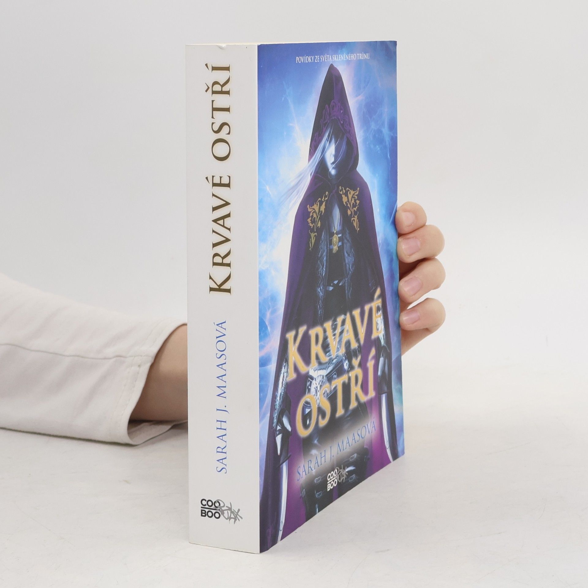 Sarah J. Maas Krvavé ostří