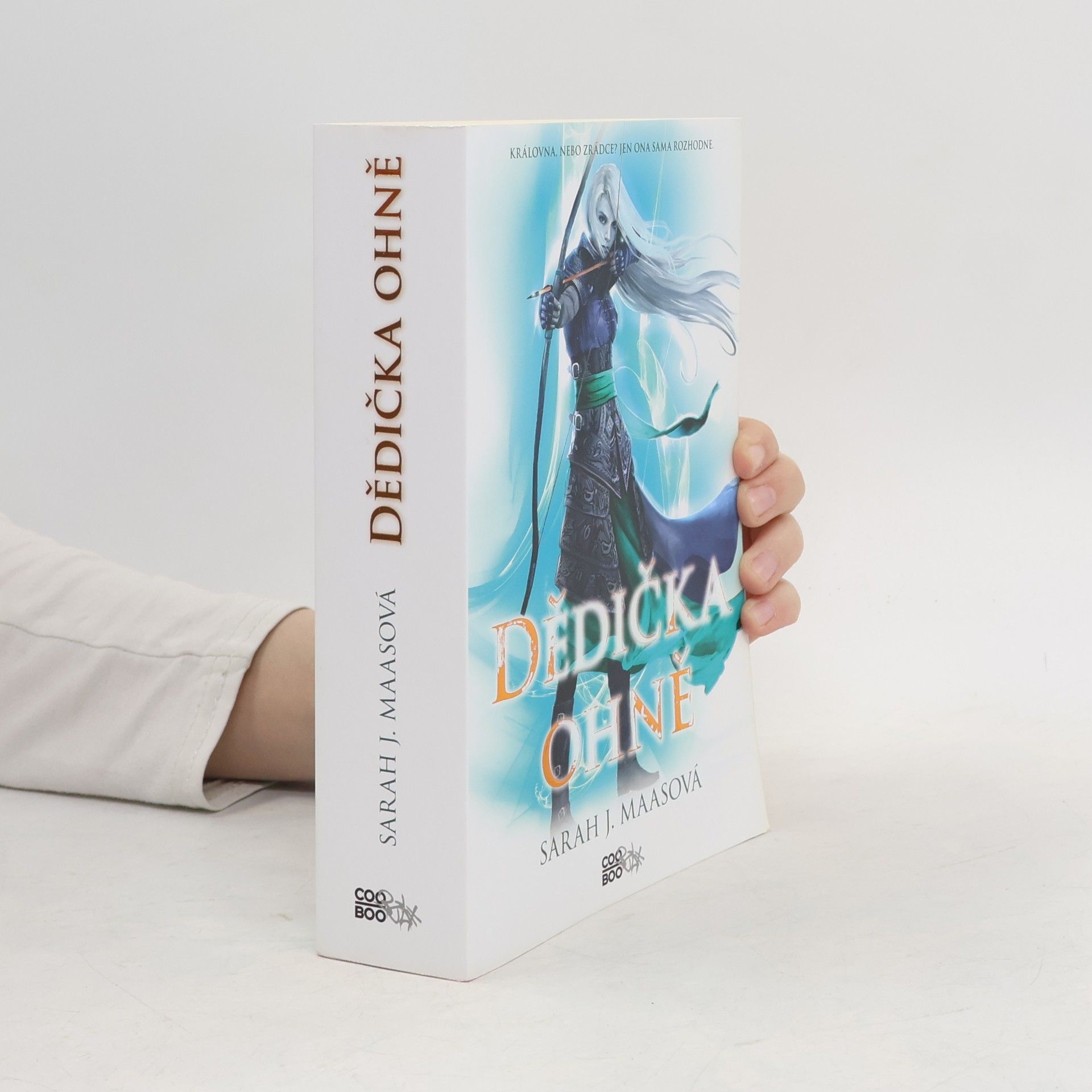 Sarah J. Maas Dědička ohně
