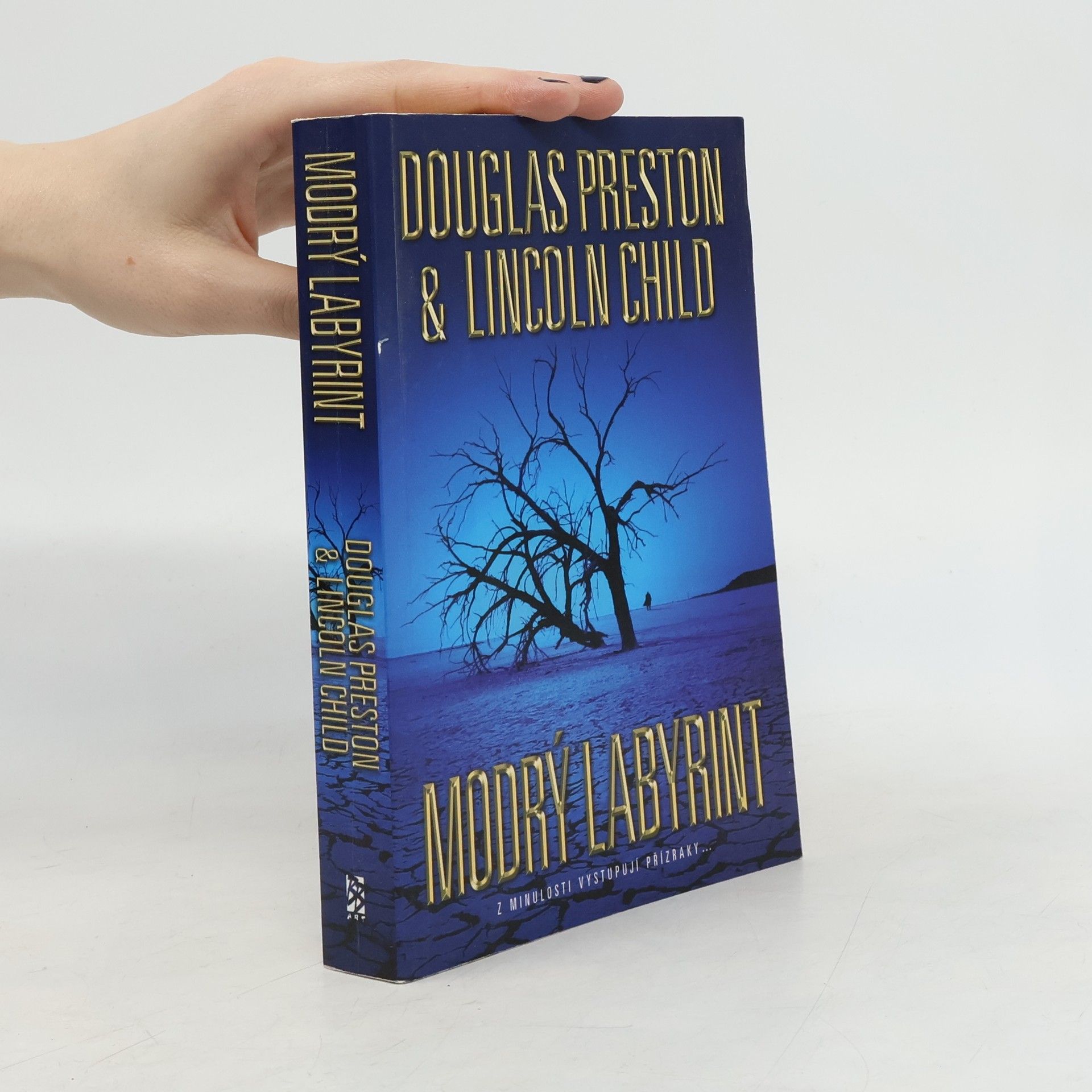 Douglas Preston Modrý labyrint