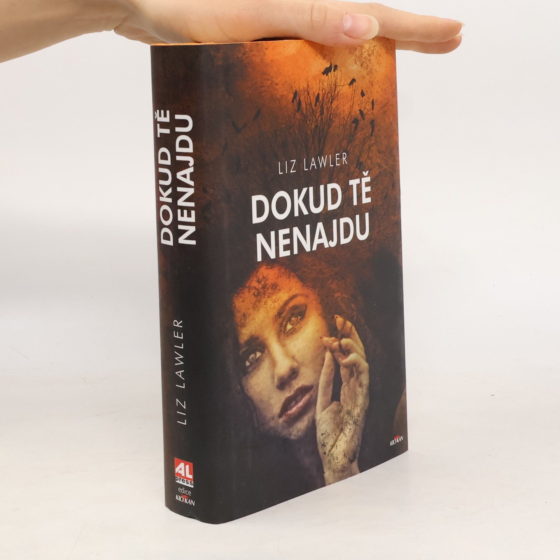 Liz Lawler Dokud tě nenajdu