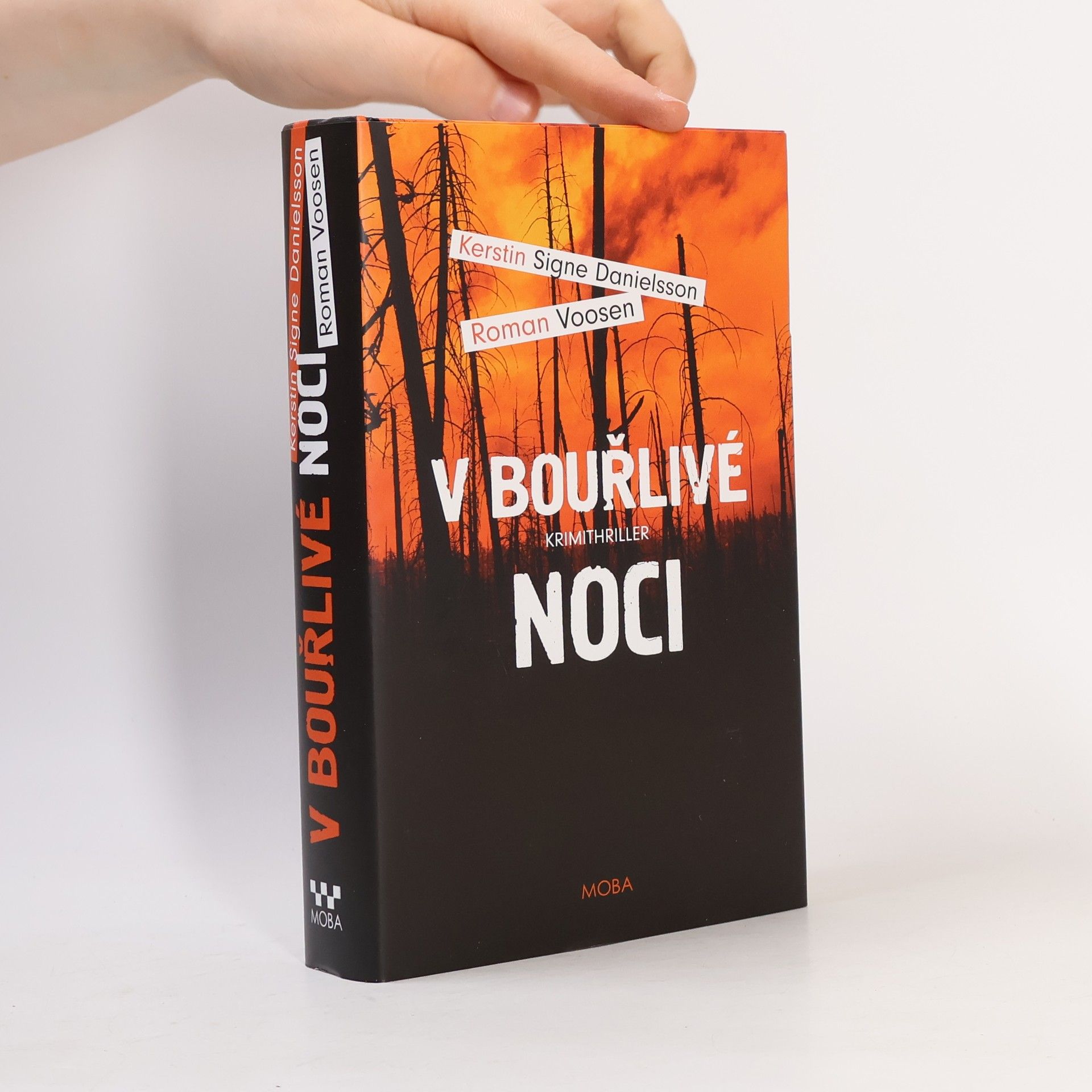 Roman Voosen V bouřlivé noci