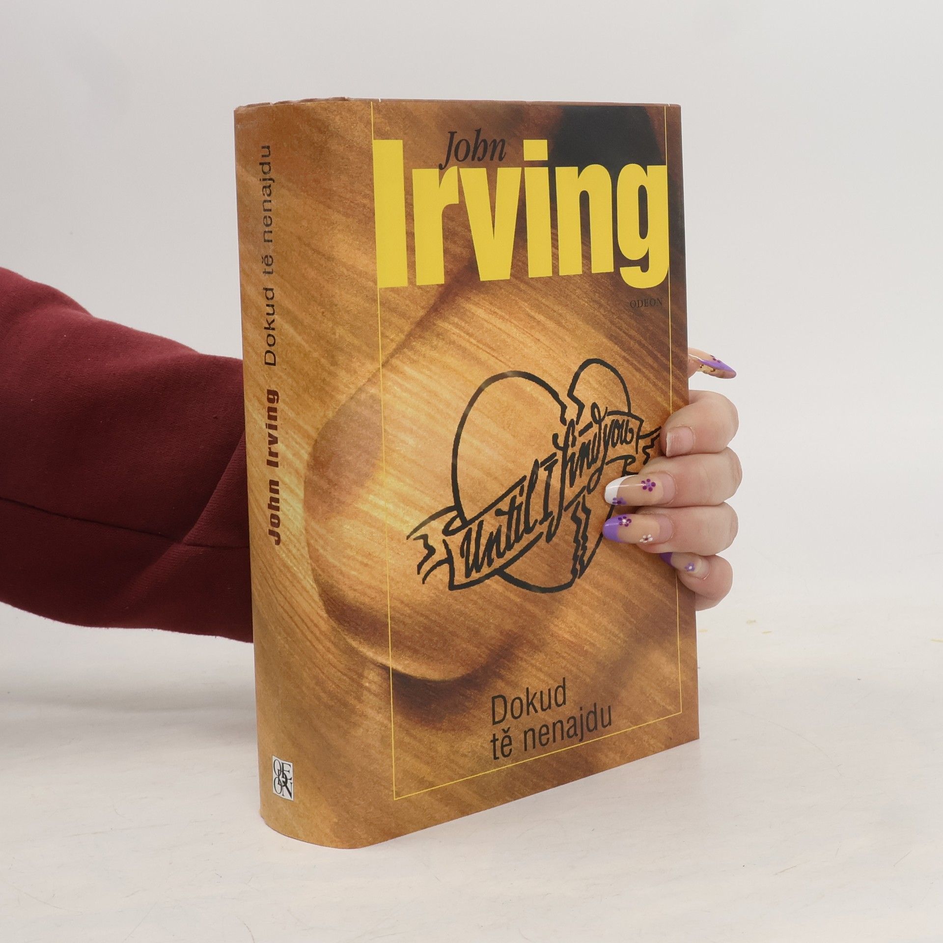 John Irving Dokud tě nenajdu