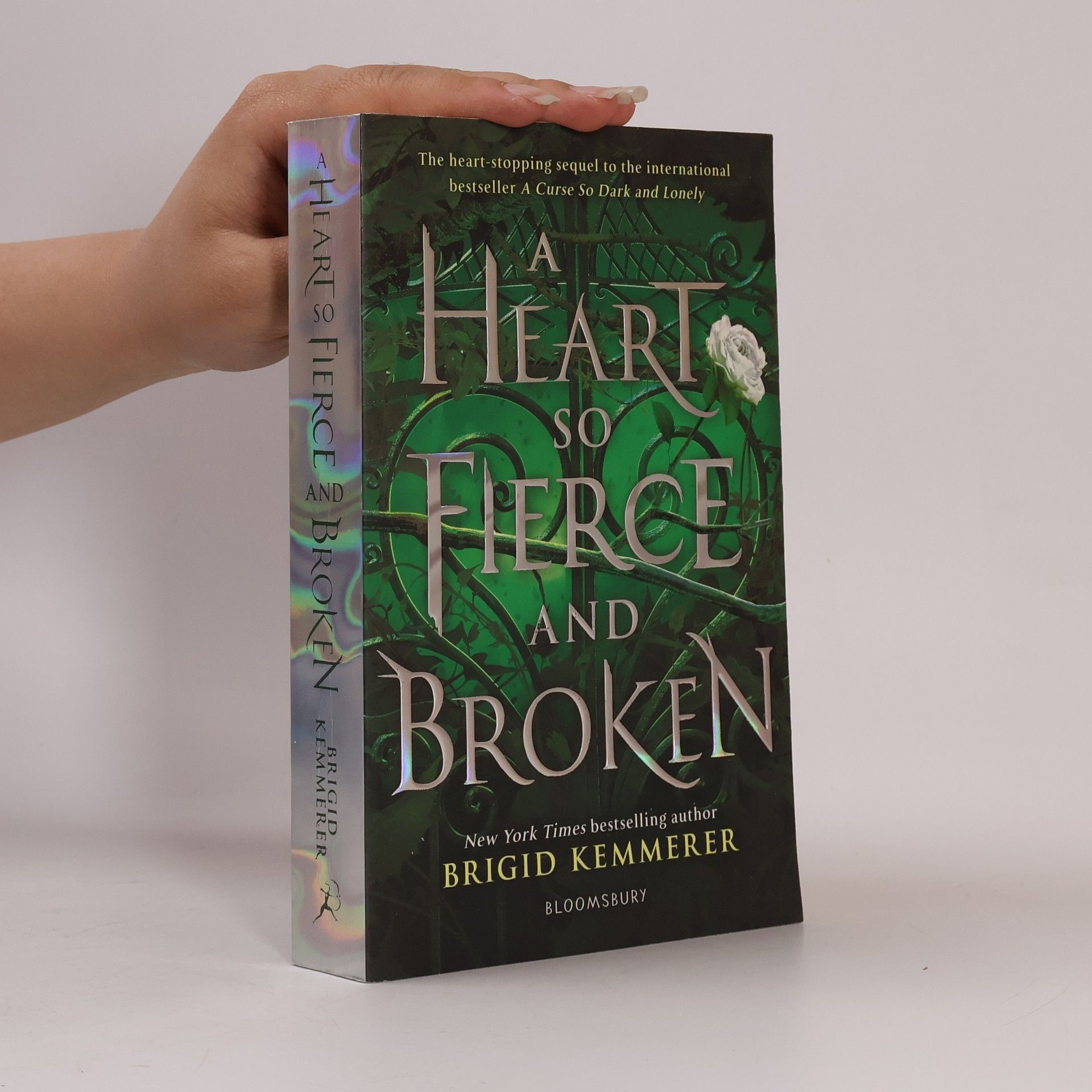 Brigid Kemmerer A Heart So Fierce and Broken
