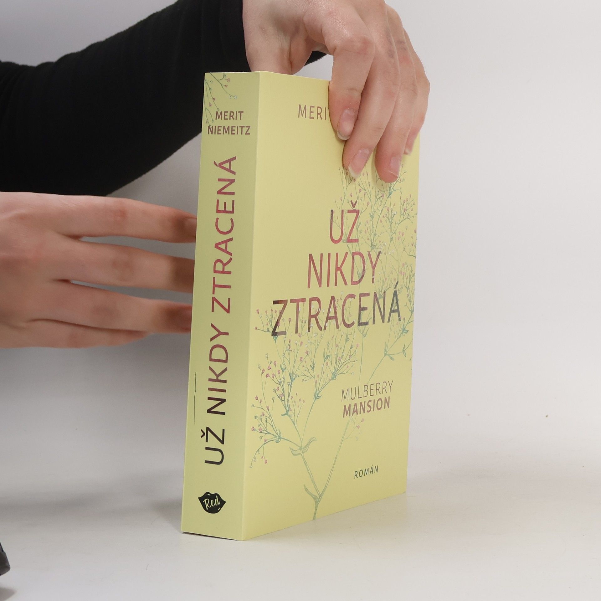Merit Niemeitz Už nikdy ztracená