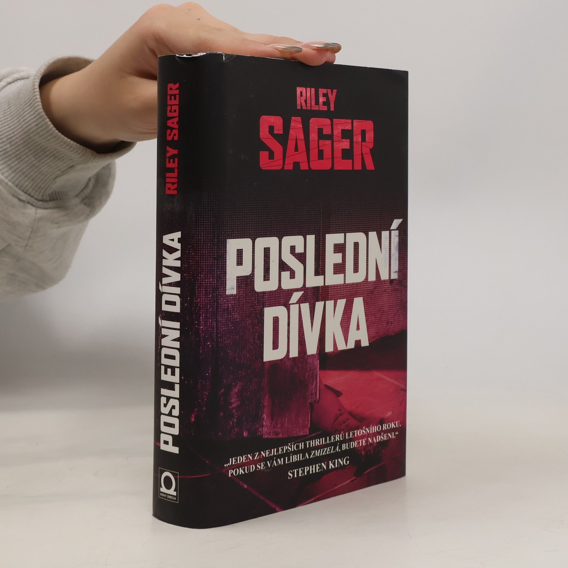 Todd Ritter Poslední dívka