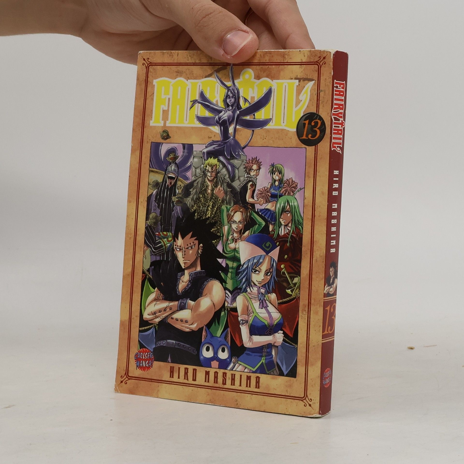 Hiro M. Fairy Tail 13