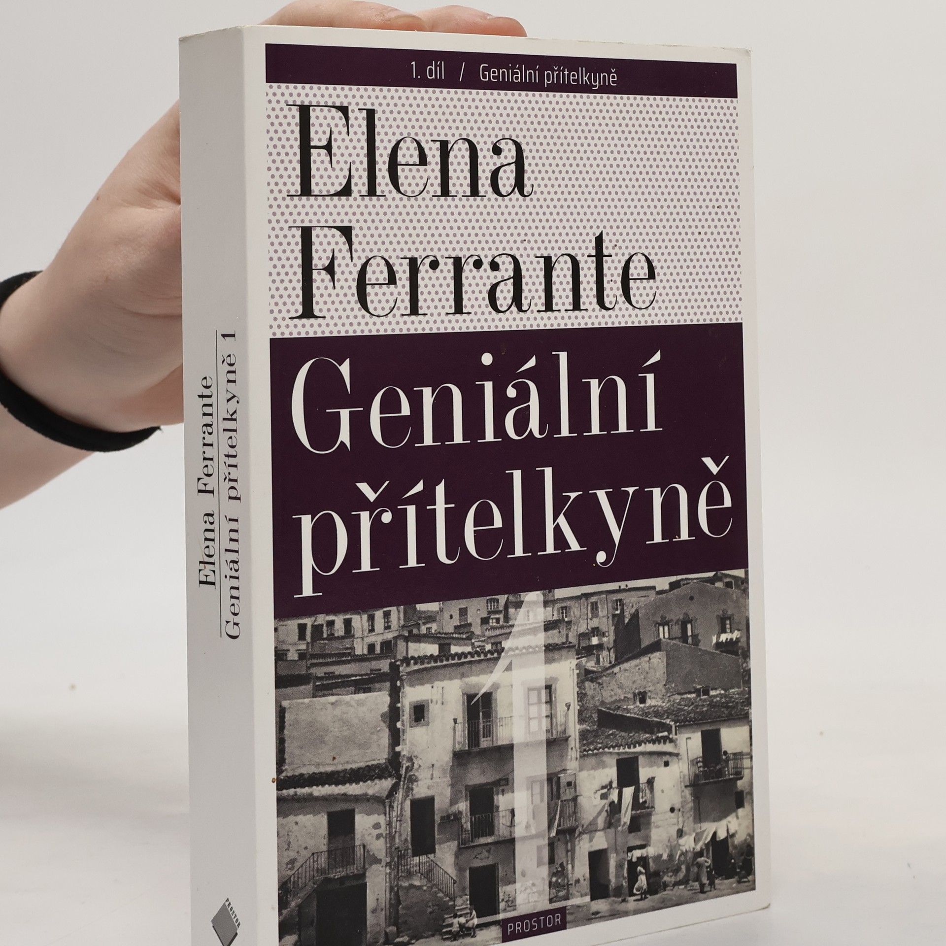 Elena Ferrante Geniální přítelkyně 1. Dětství a dospívání