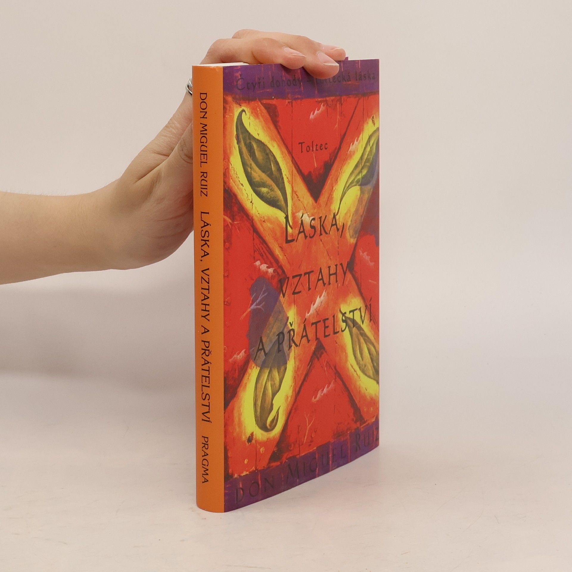 Don Miguel Ruiz Láska, vztahy a přátelství