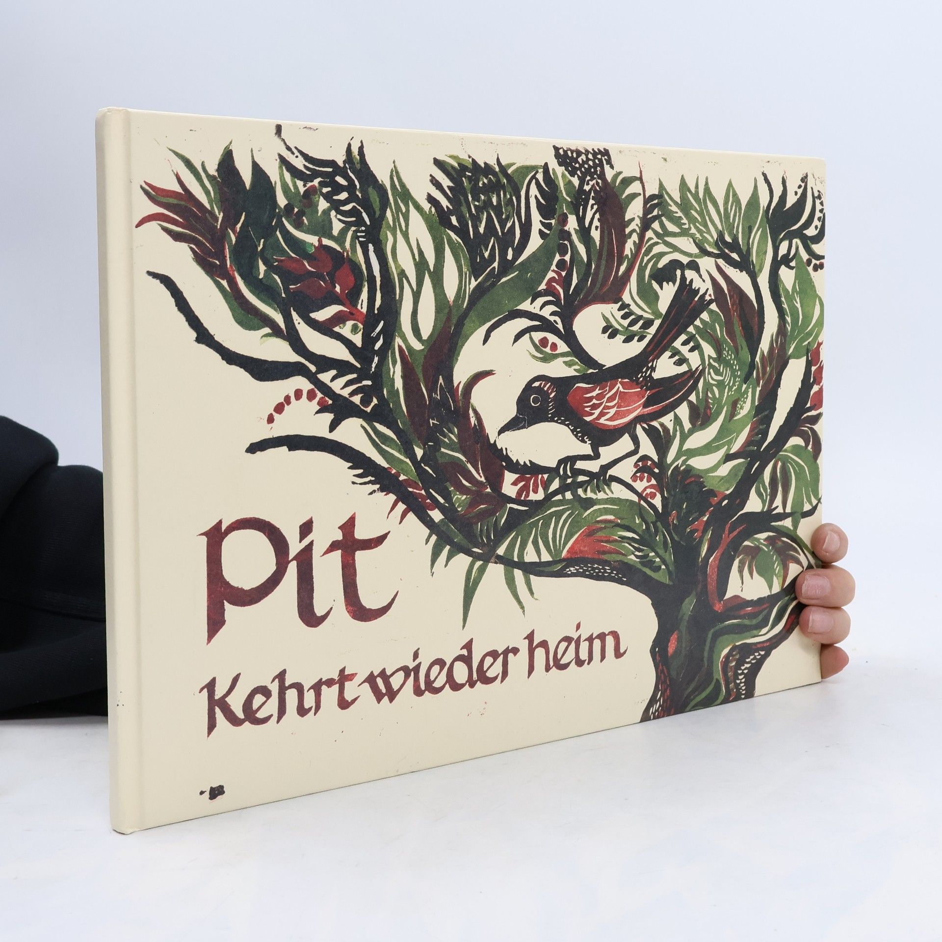 Auteurscollectief Pit kehrt wieder heim