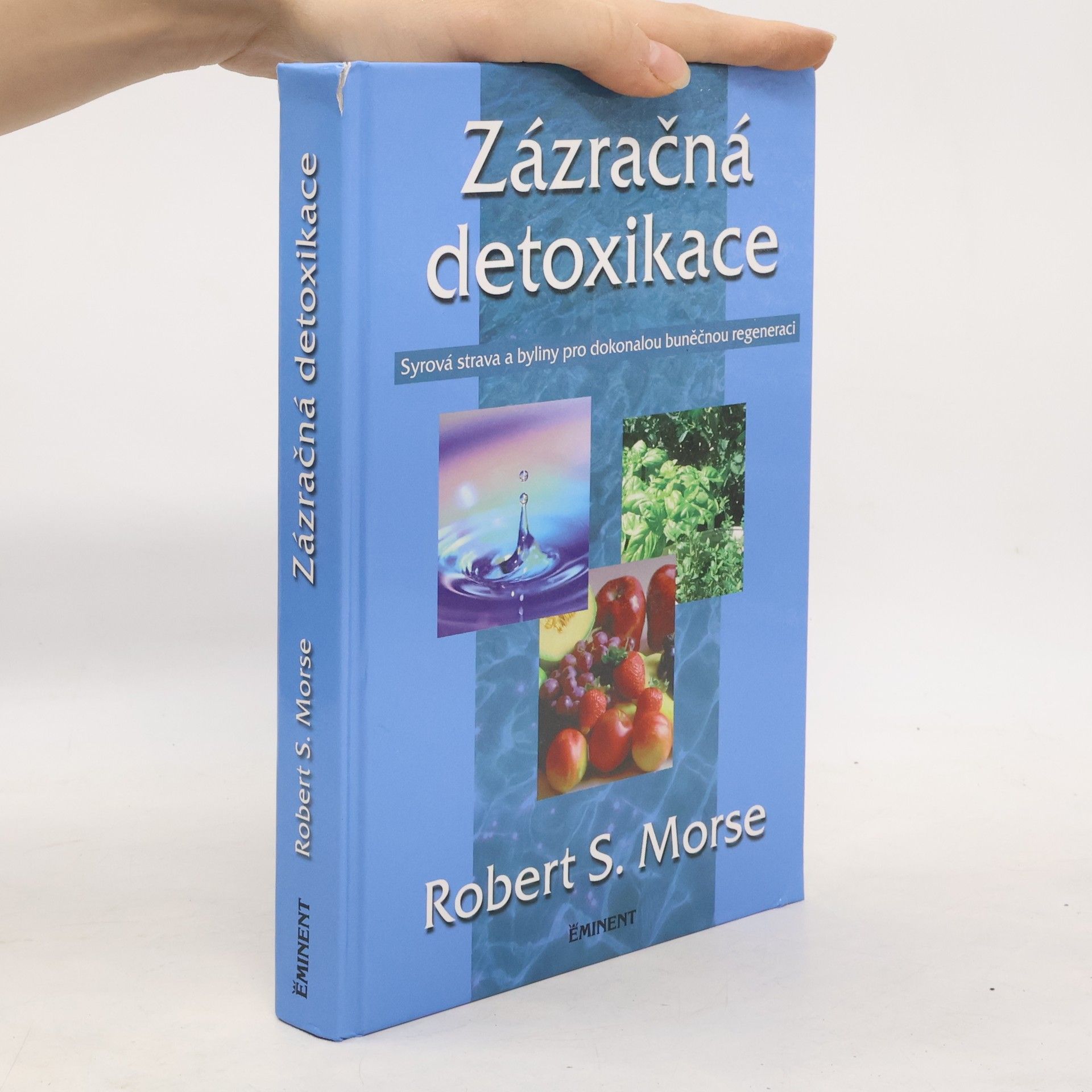 Robert Morse Zázračná detoxikace