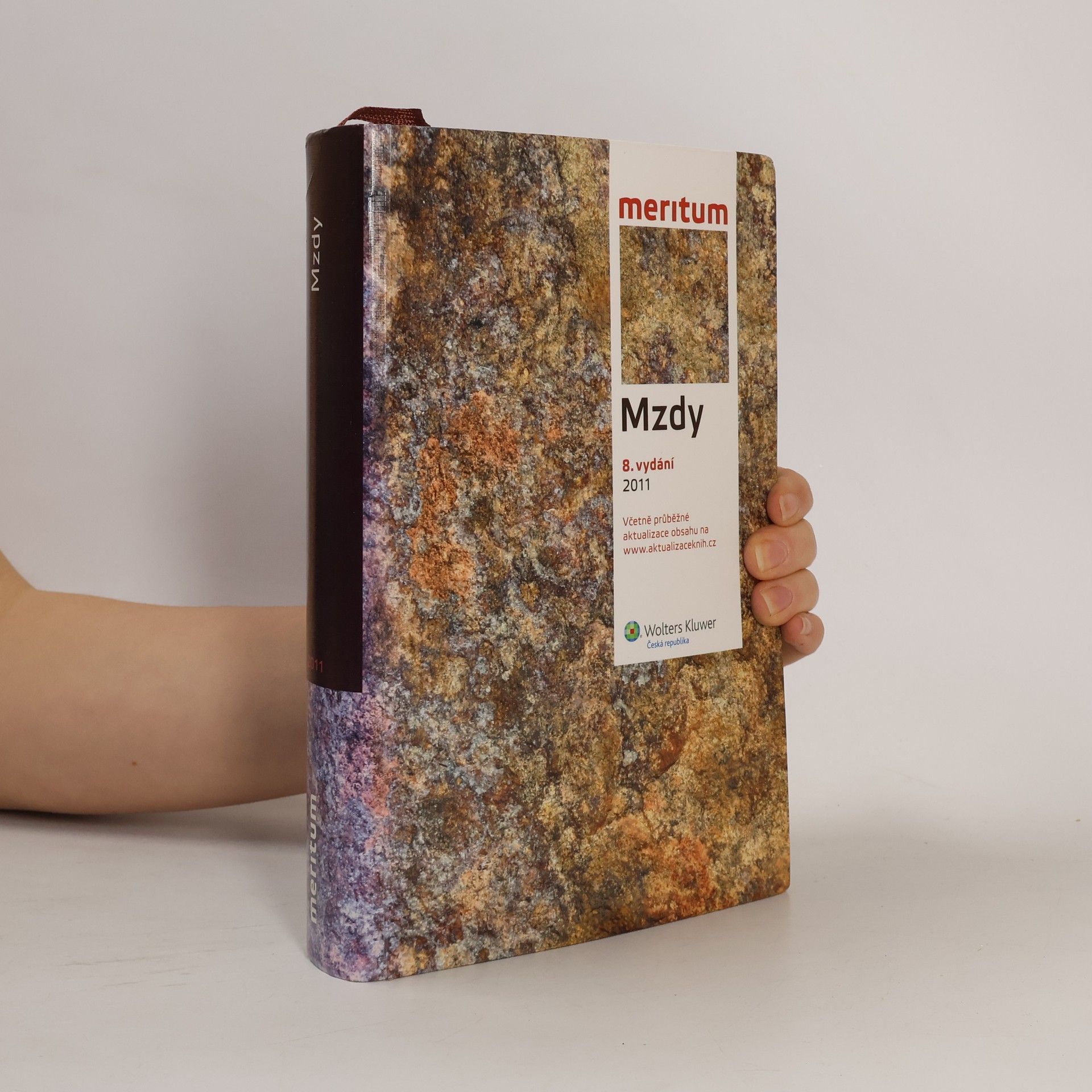 Various authors Mzdy 2011