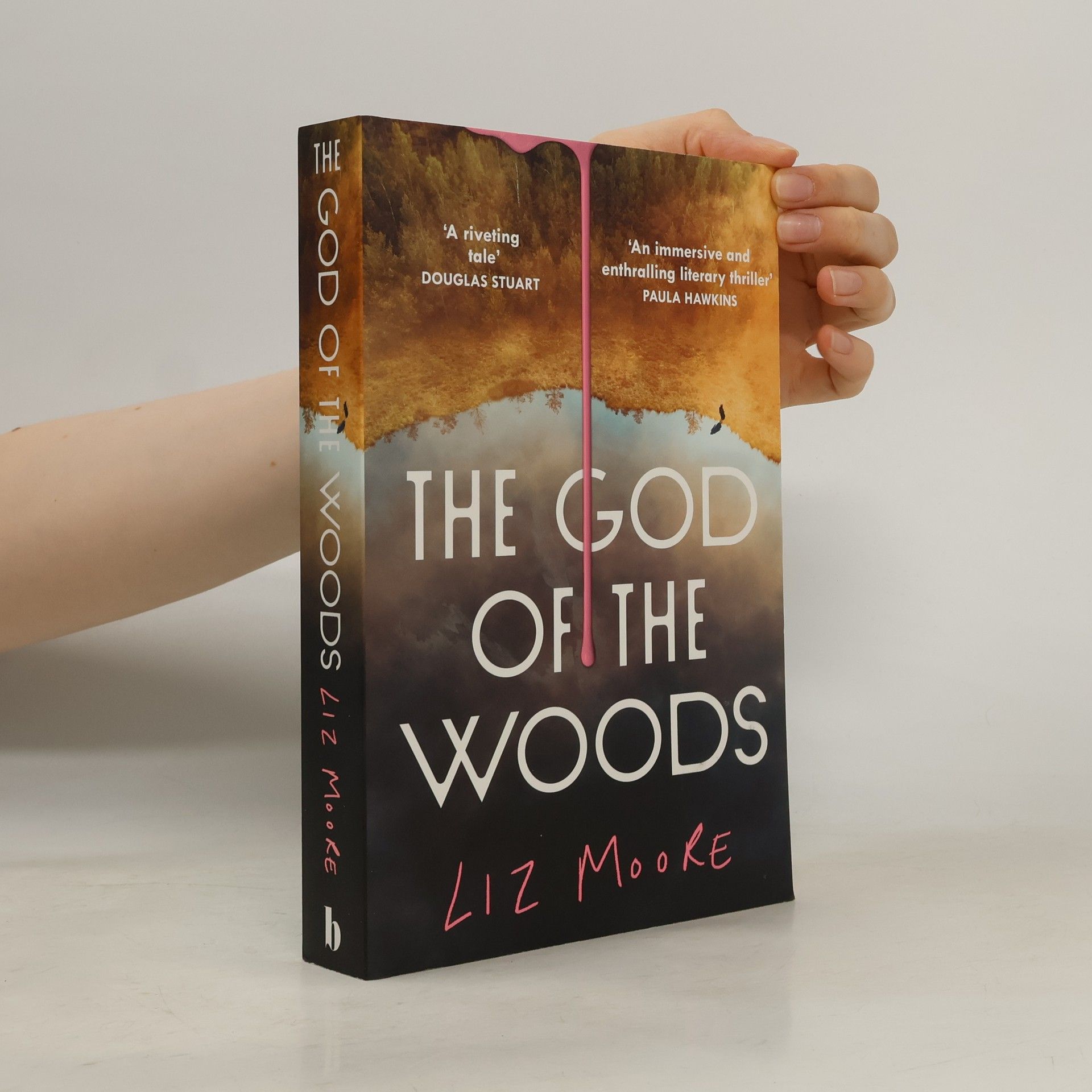 Liz Moore The God of the Woods