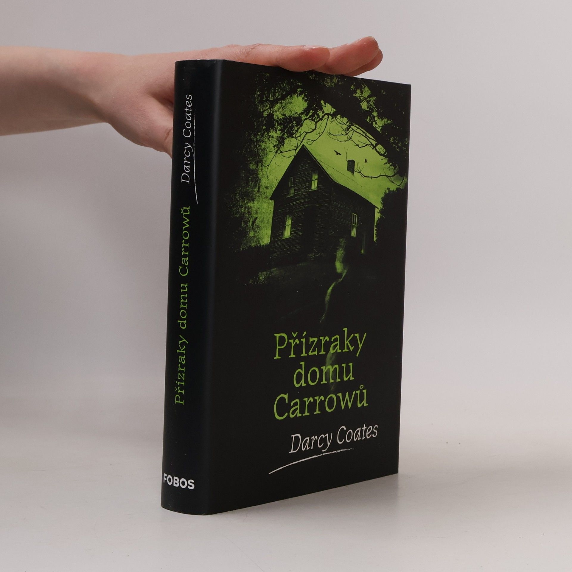 Darcy Coates Přízraky domu Carrowů