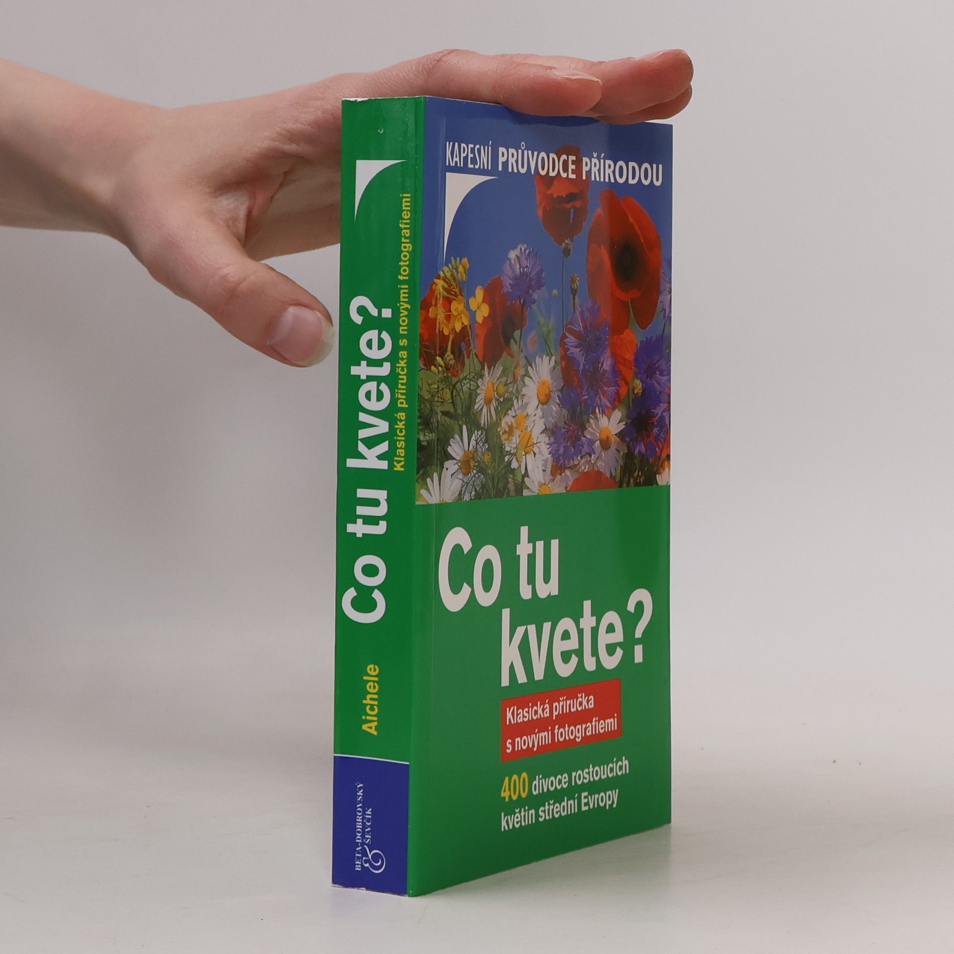Dietmar Aichele Co tu kvete?