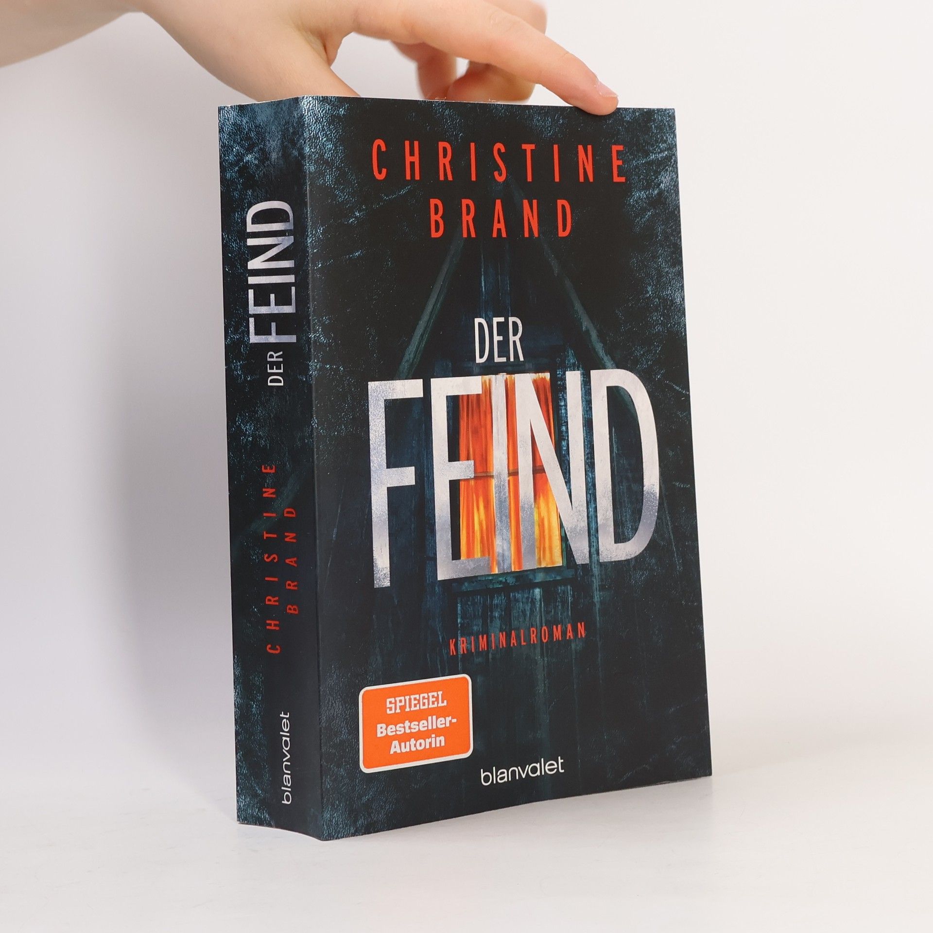 Christine Brand Der Feind