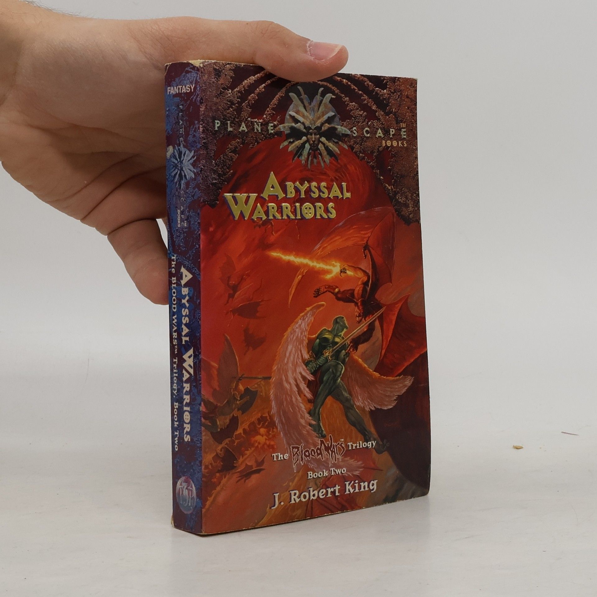 Robert J. King The Blood Wars Trilogy - 2: Abyssal Warriors