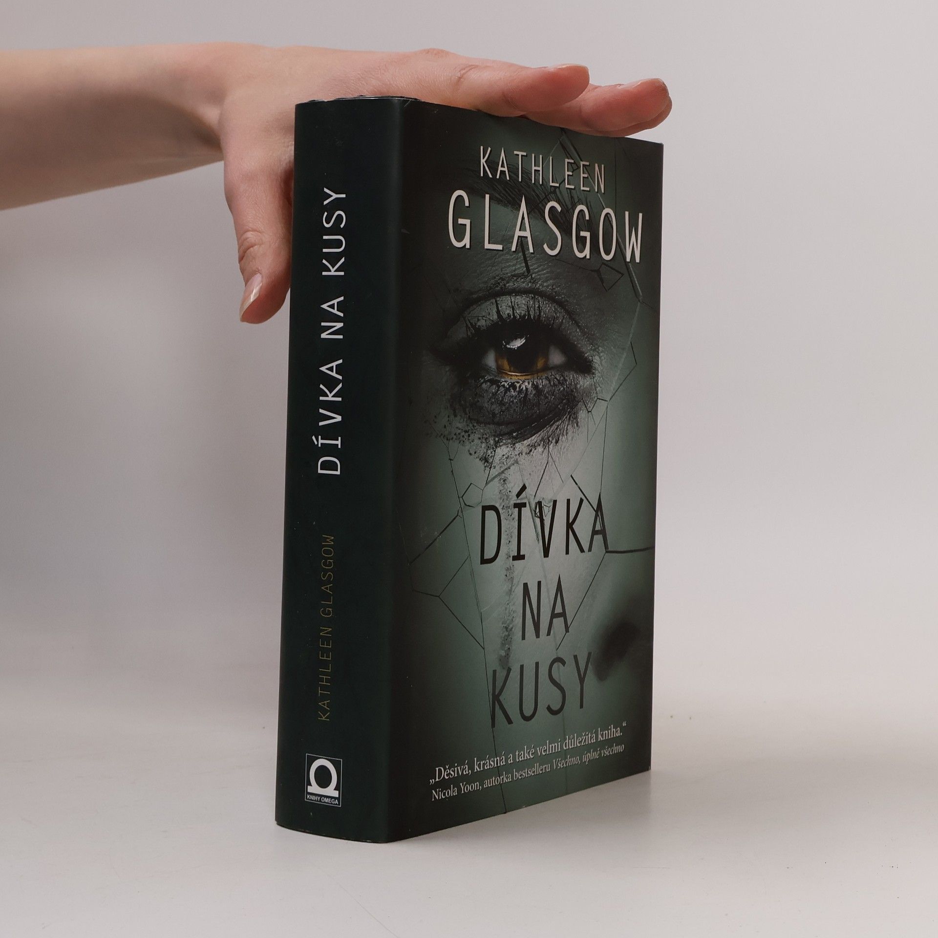 Kathleen Glasgow Dívka na kusy